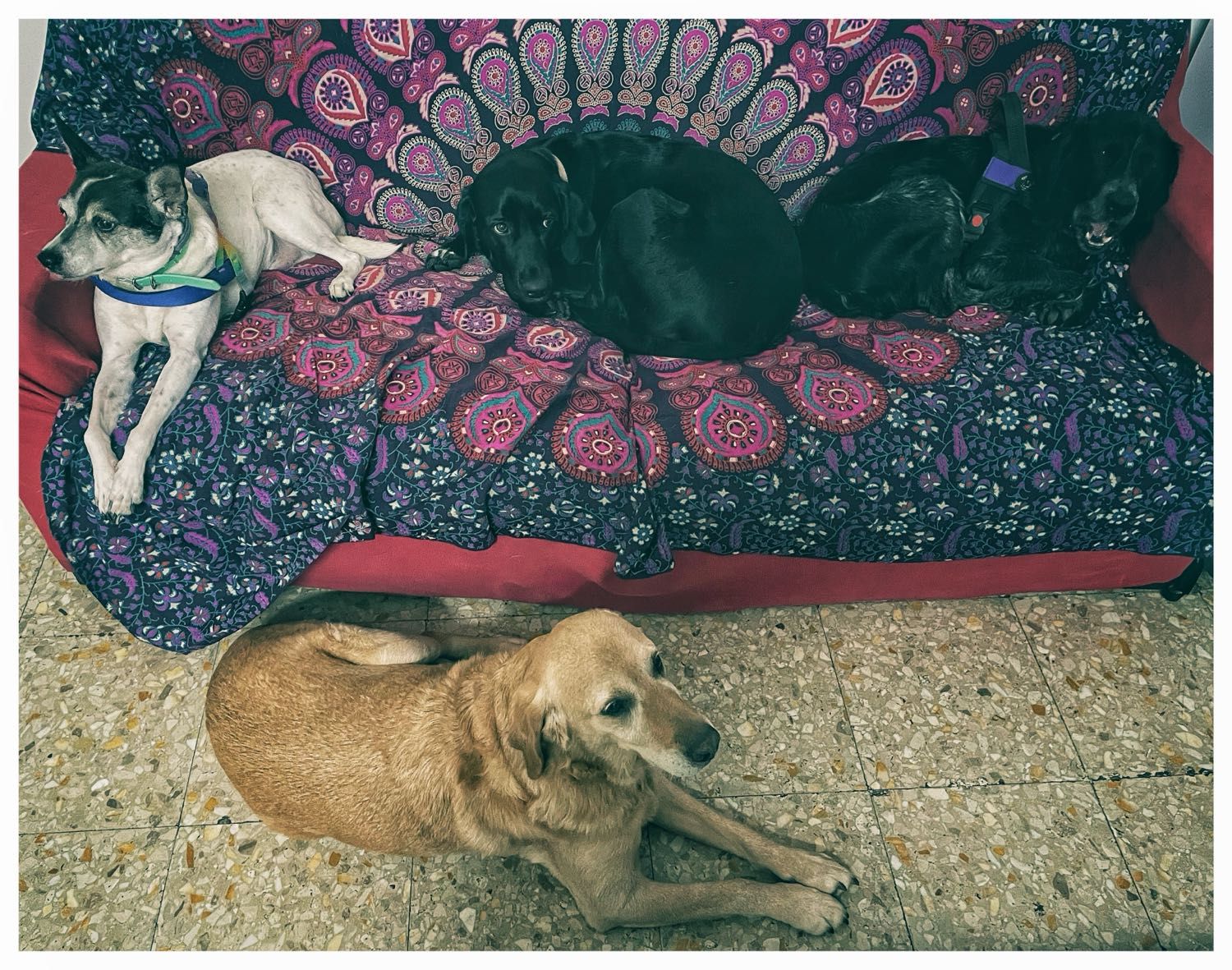 image-13