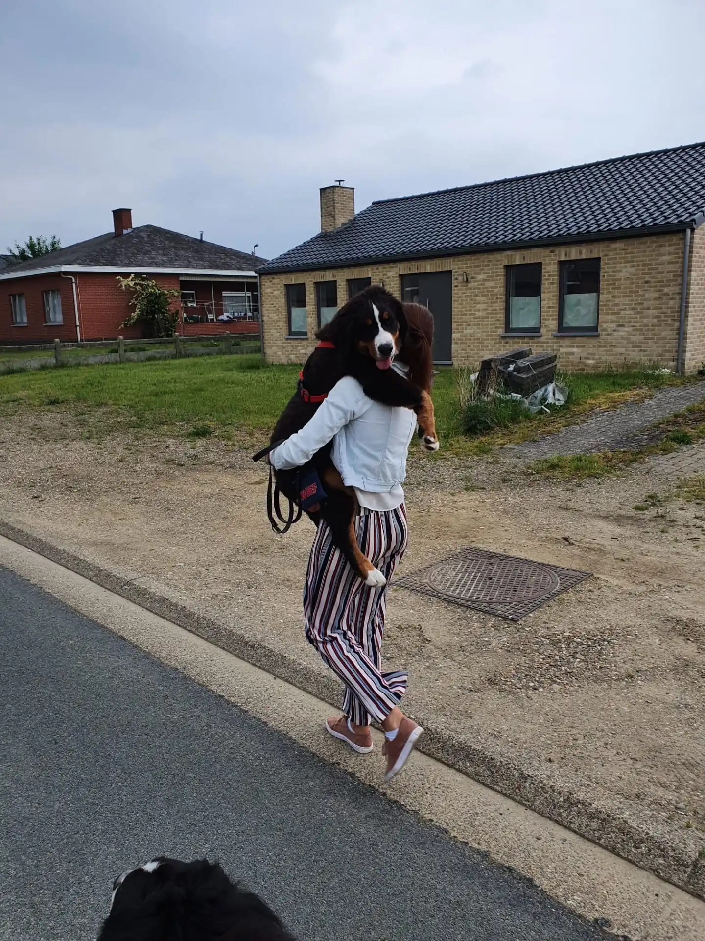 image-12