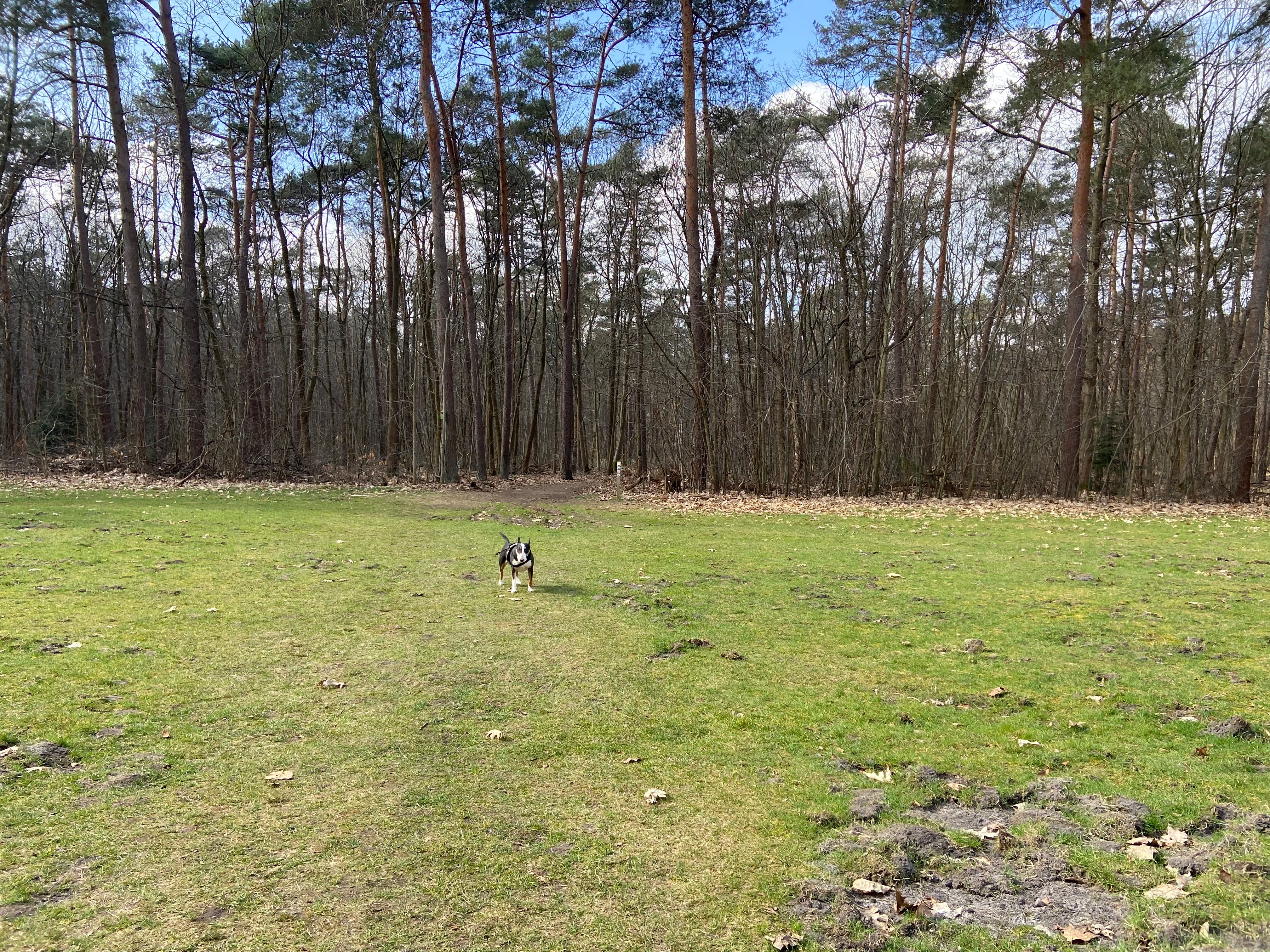 image-18