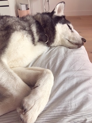image-10