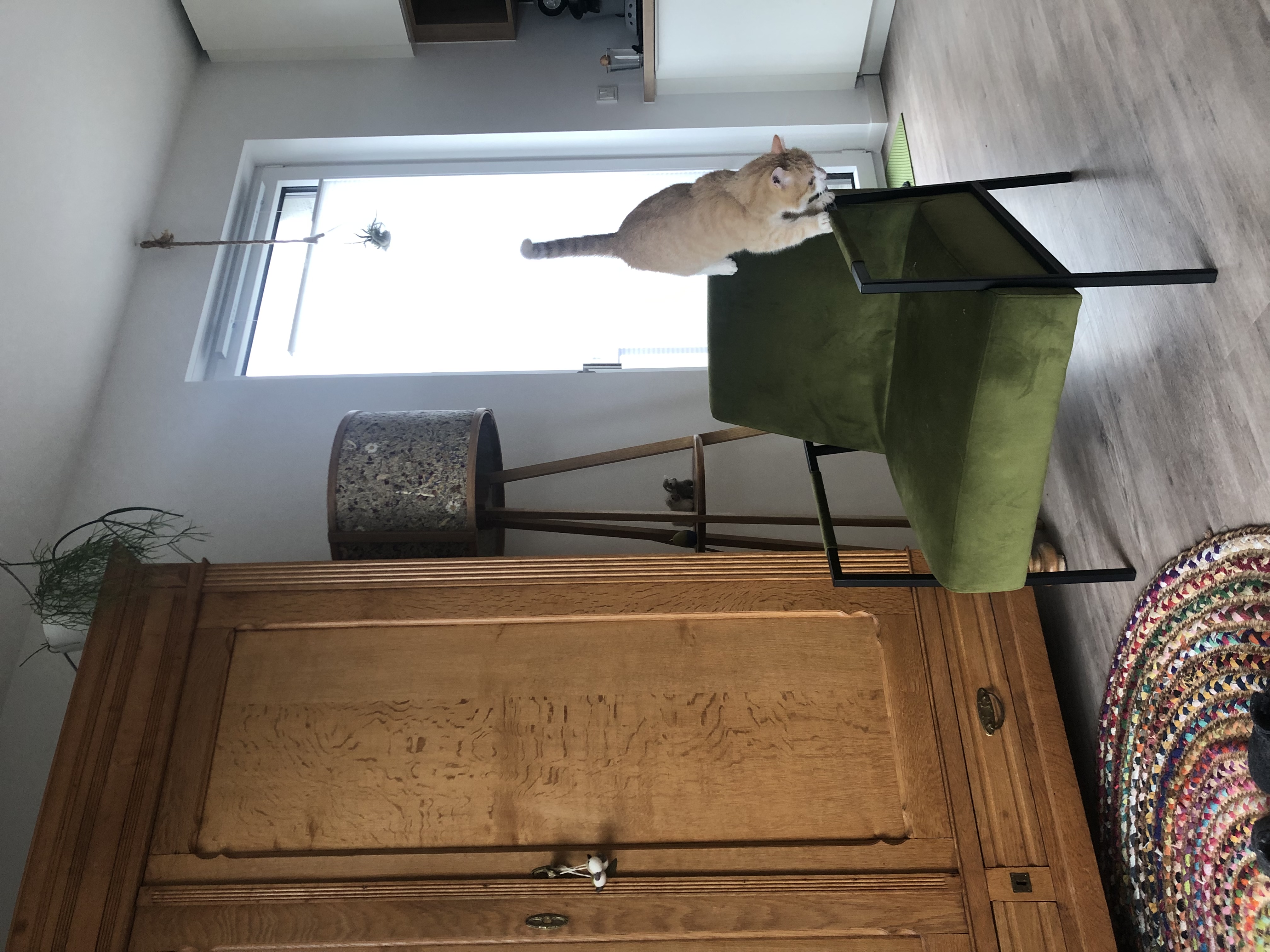 image-4