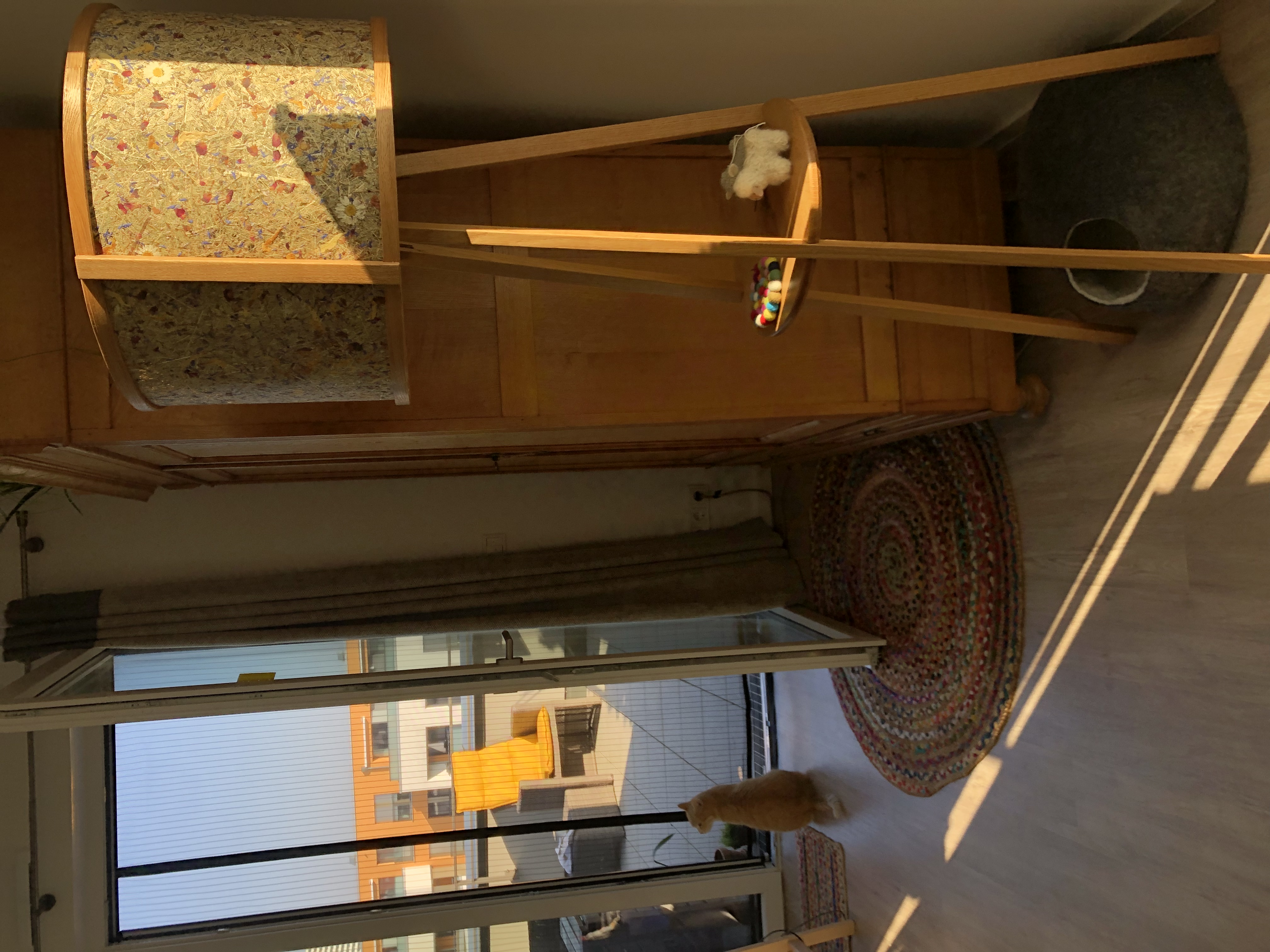 image-6
