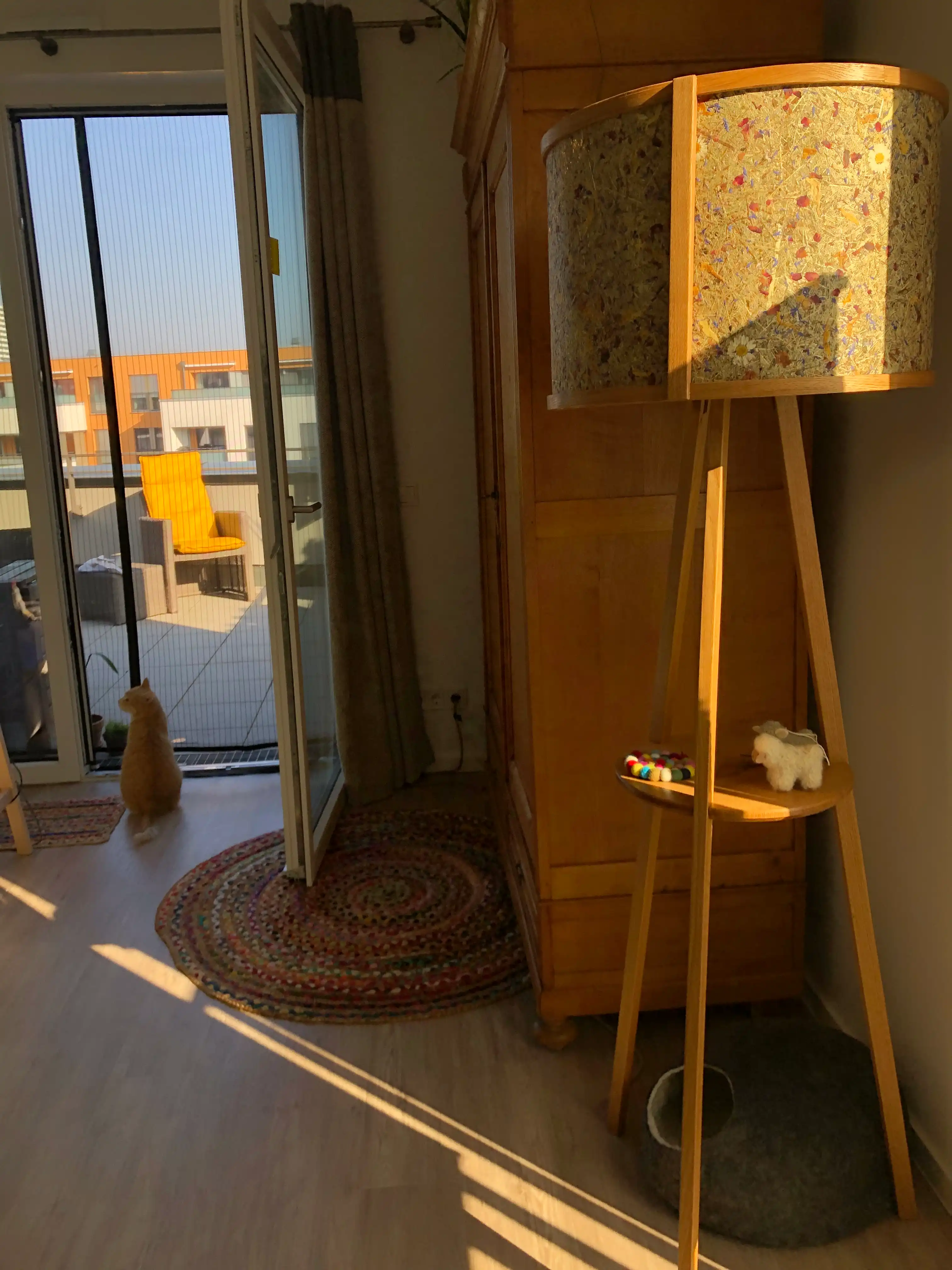 image-6