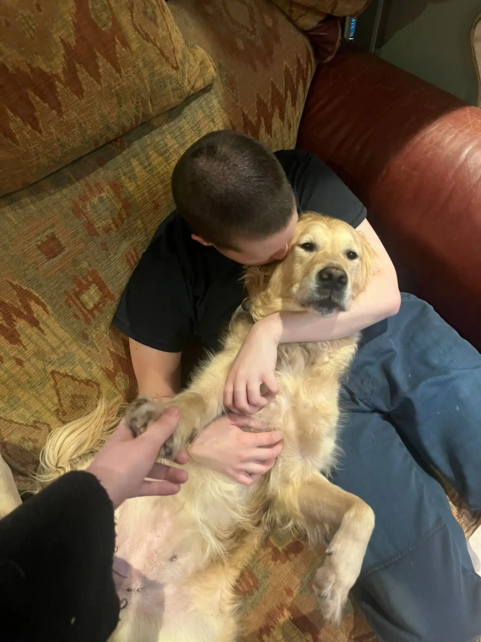 image-6