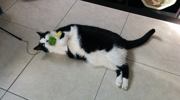 image-2