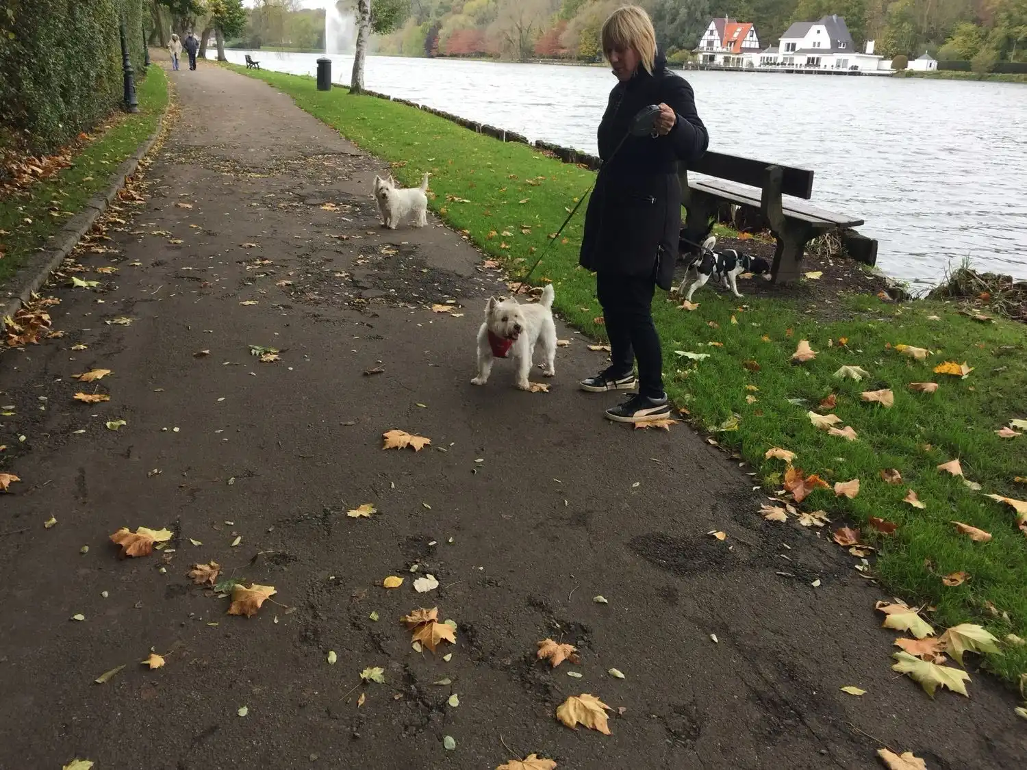 image-21
