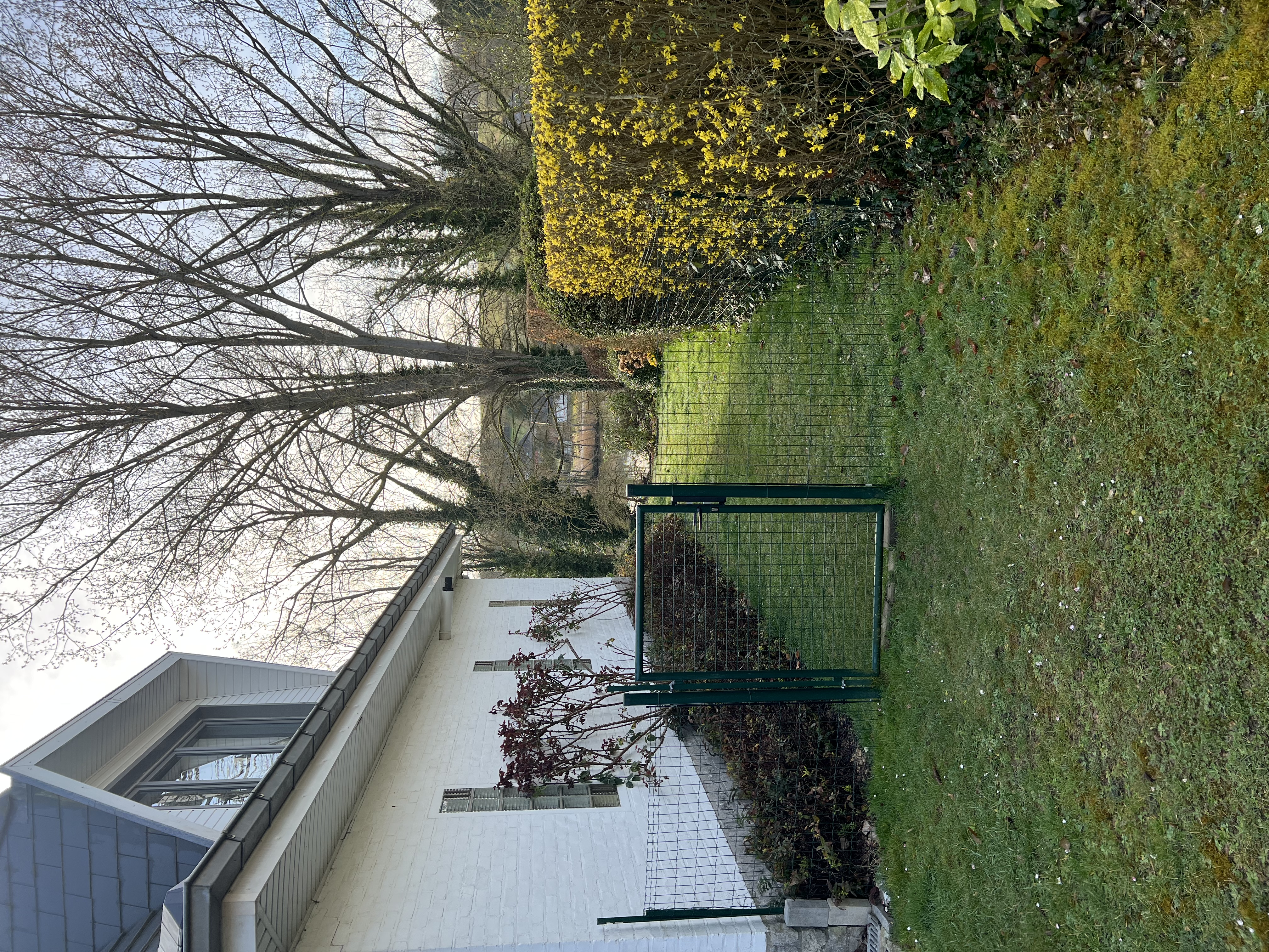 image-28