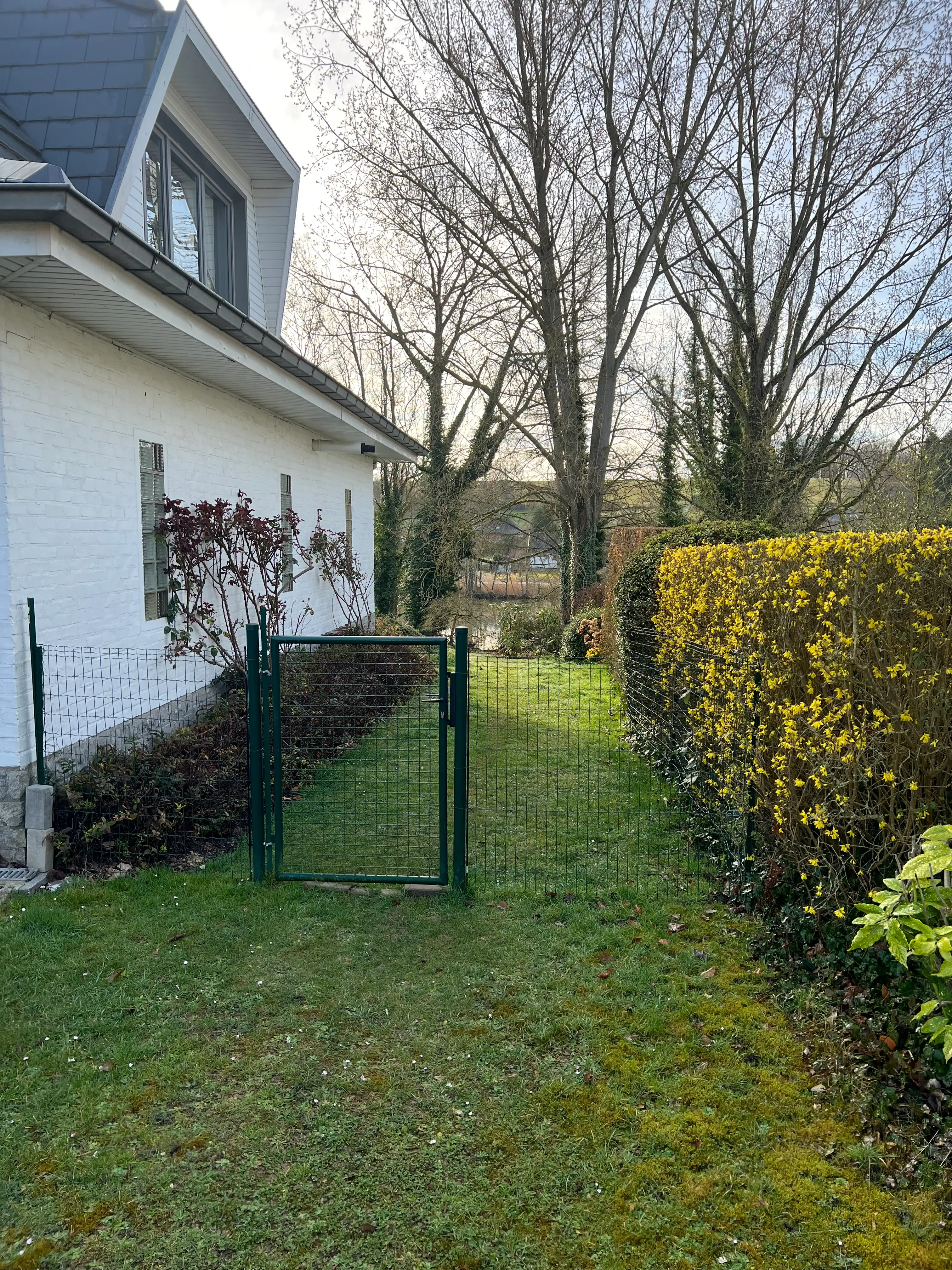 image-28