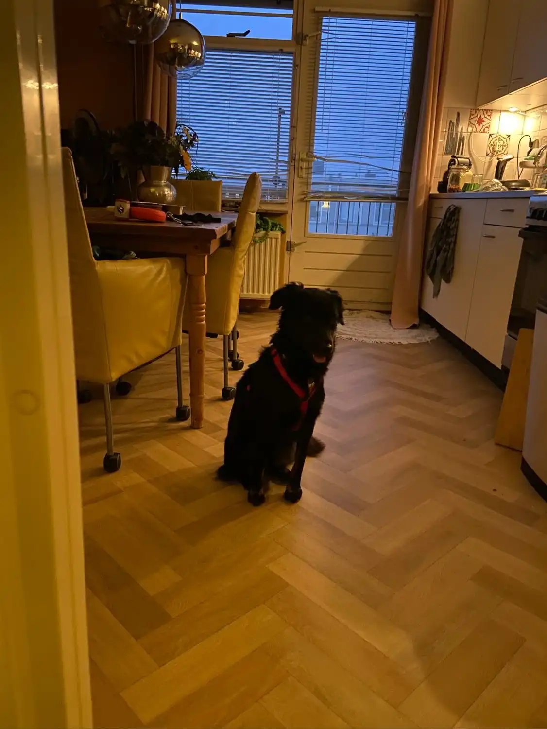 image-11
