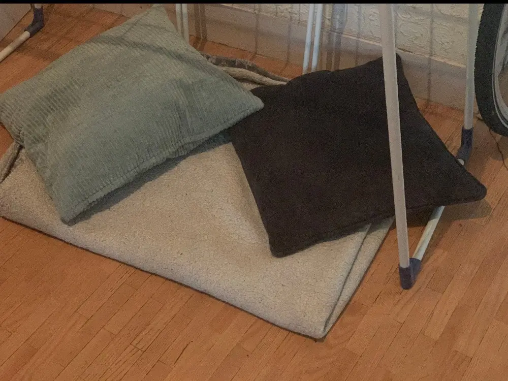 image-2