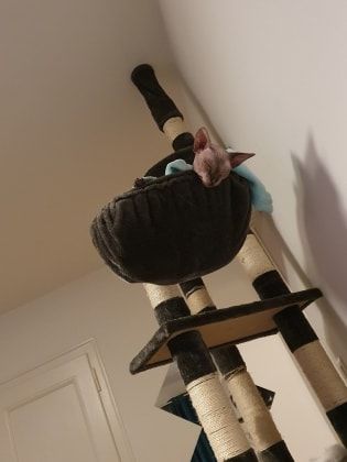 image-3