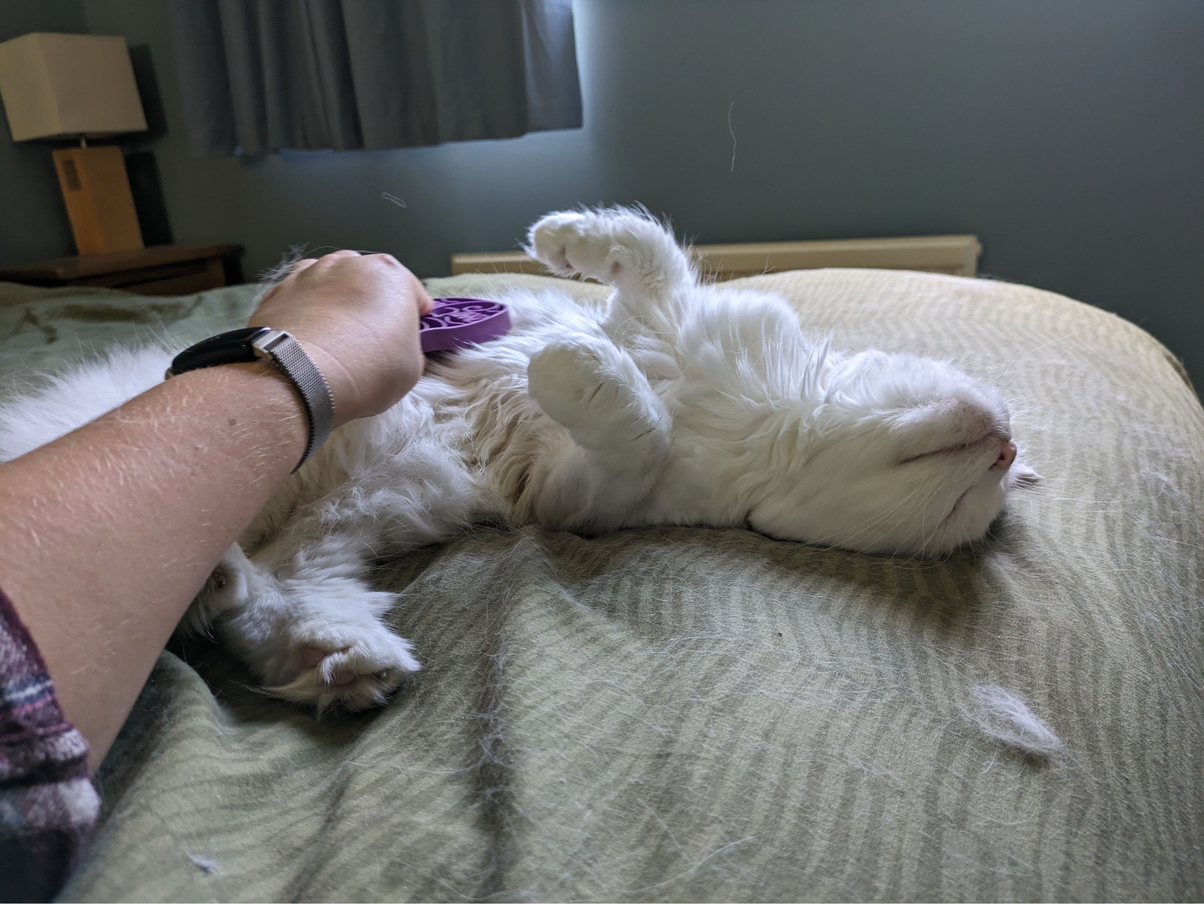image-6