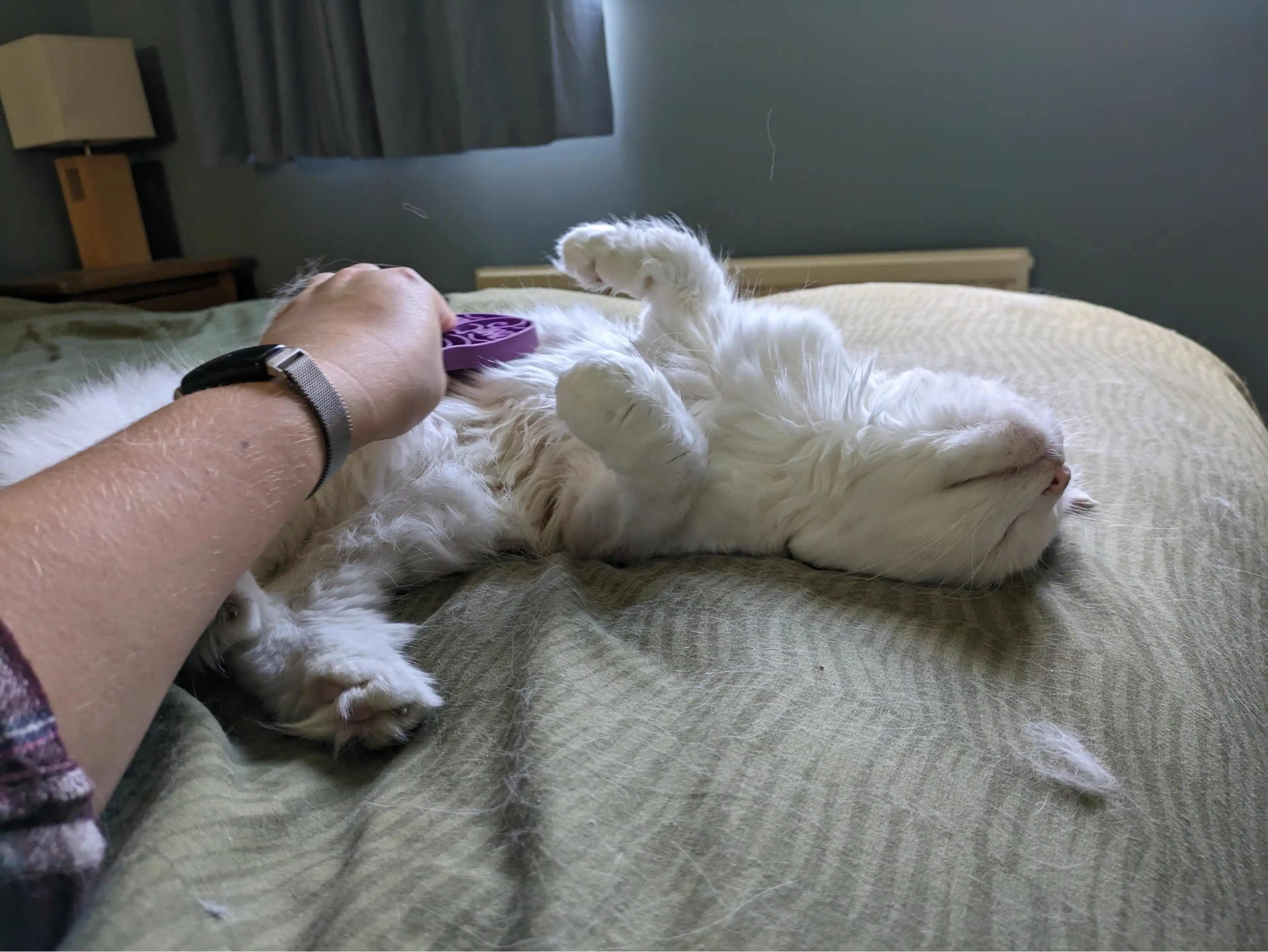 image-6