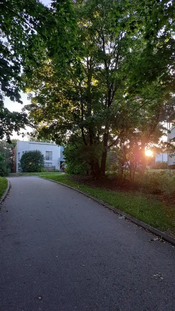image-17