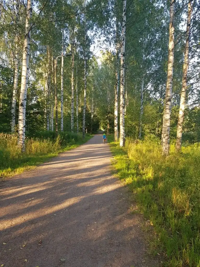 image-21