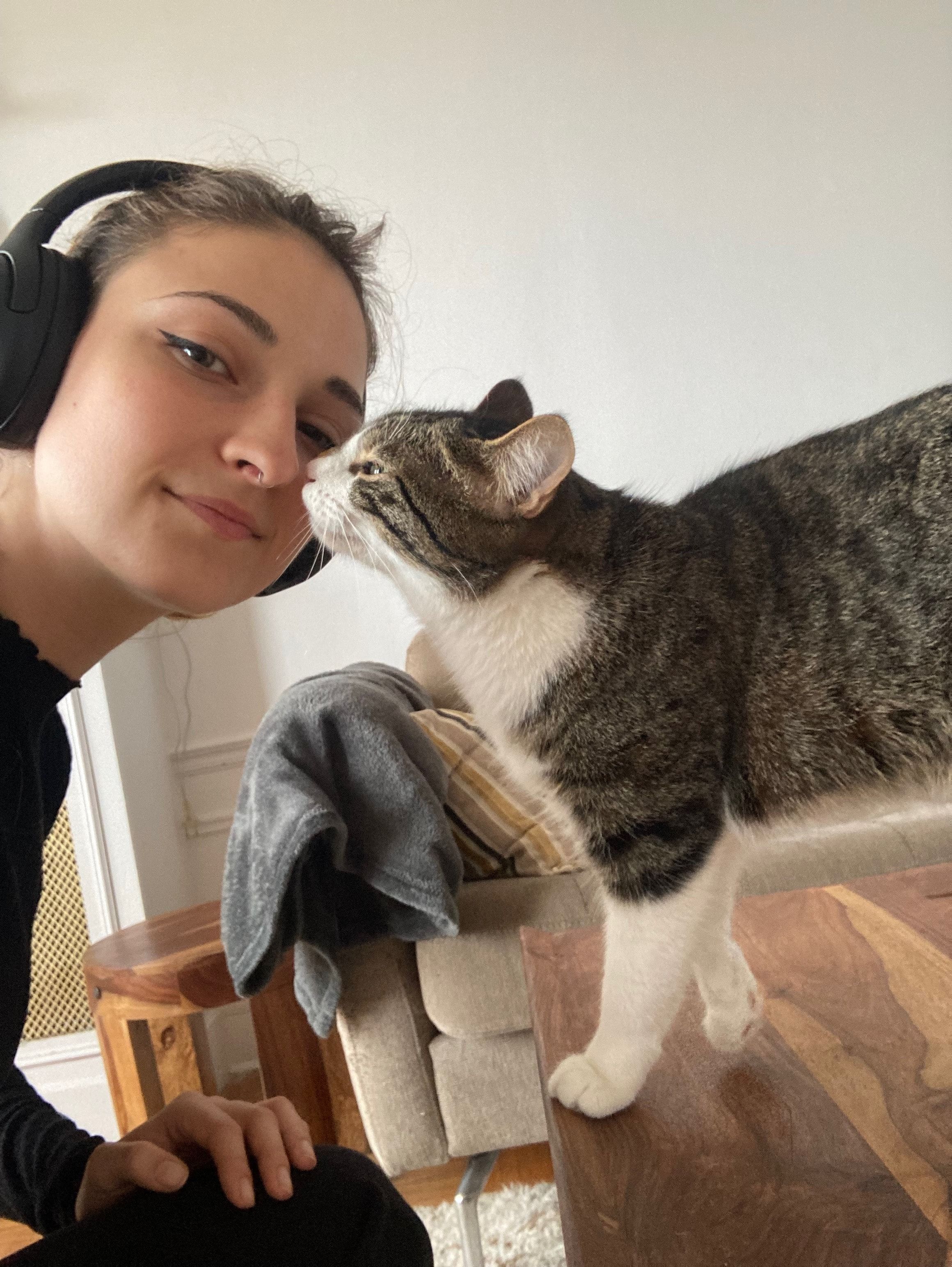 image-6