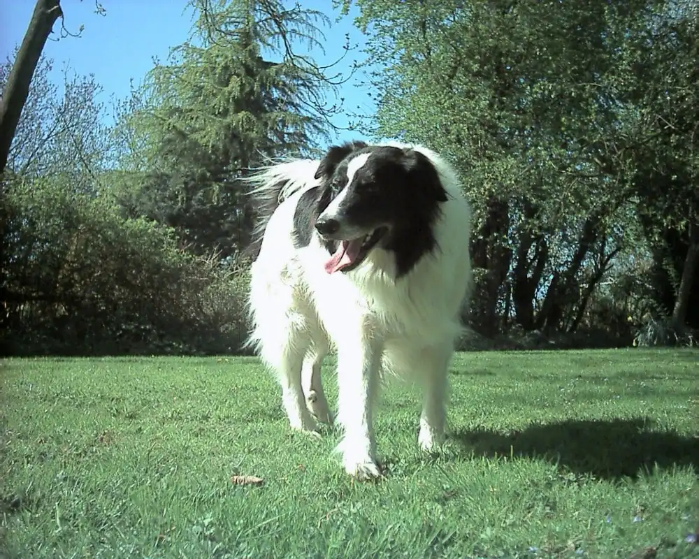 image-7