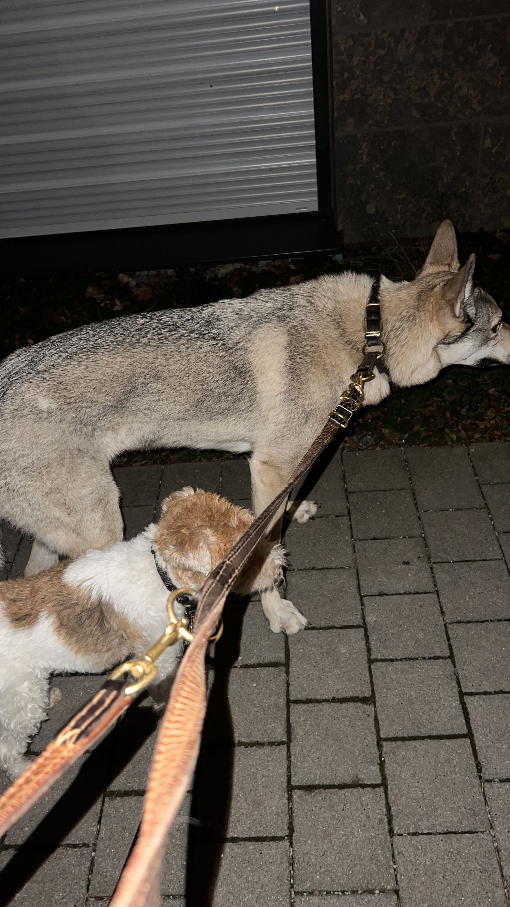 image-76