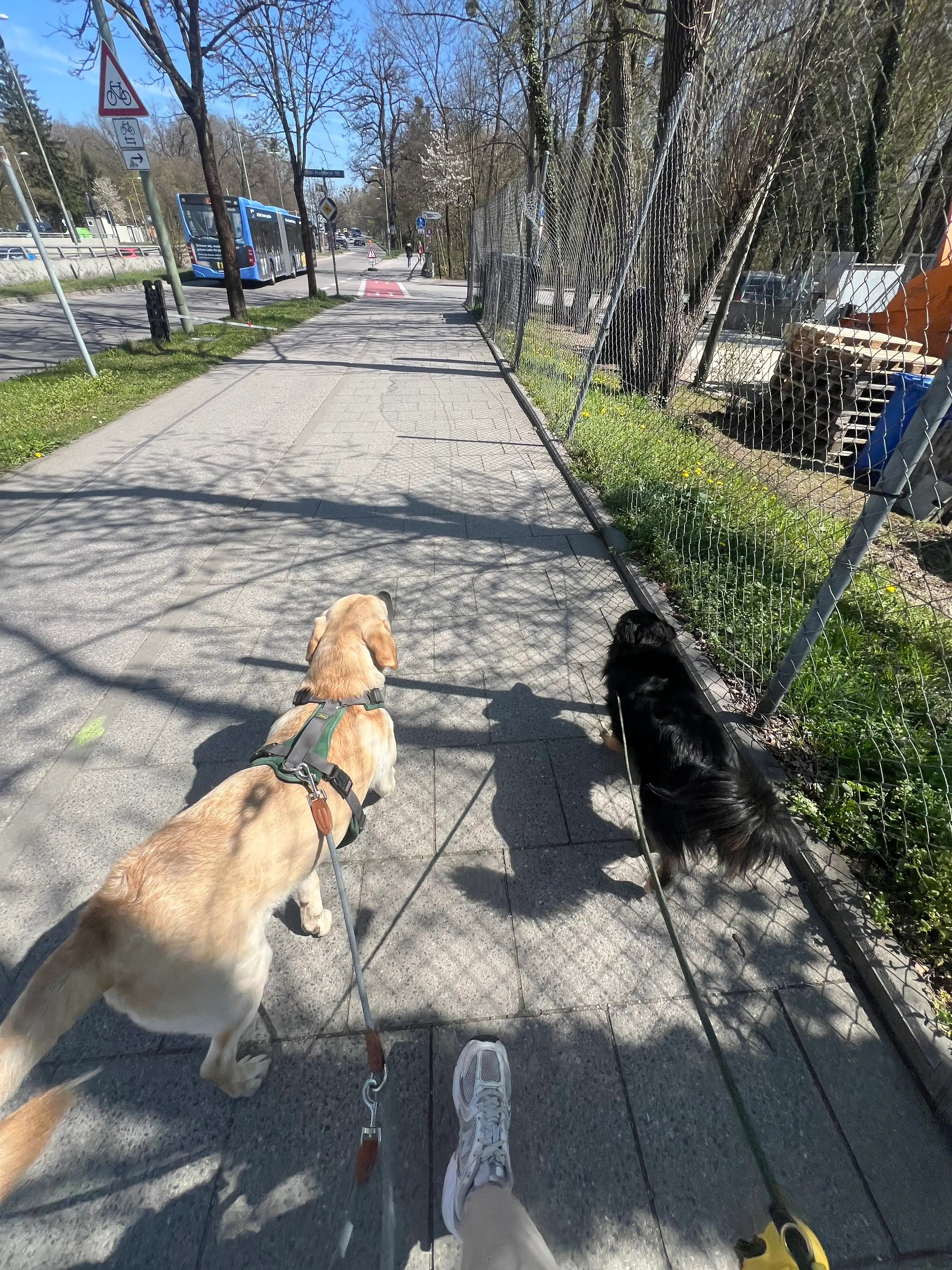 image-47