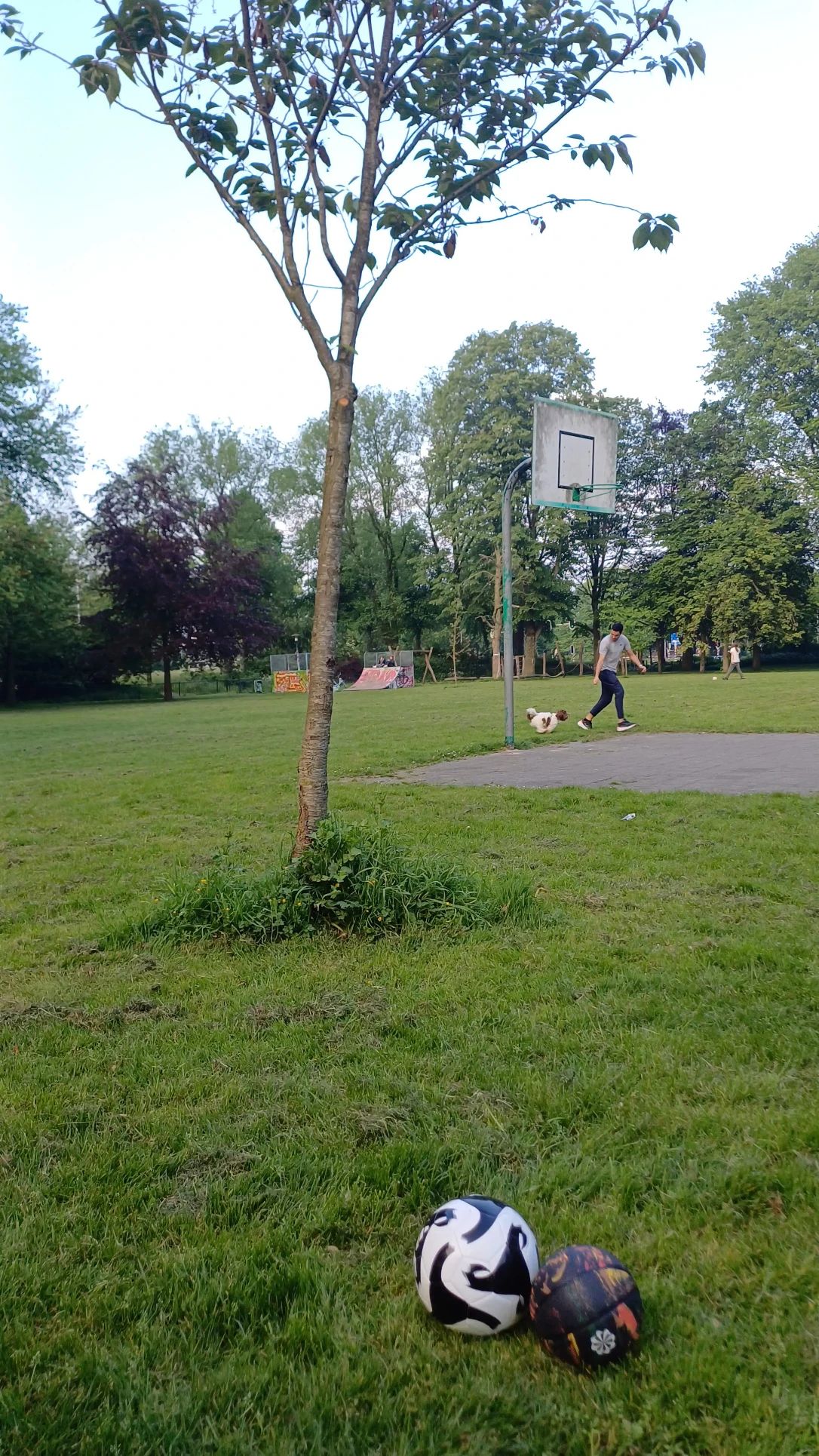 image-21