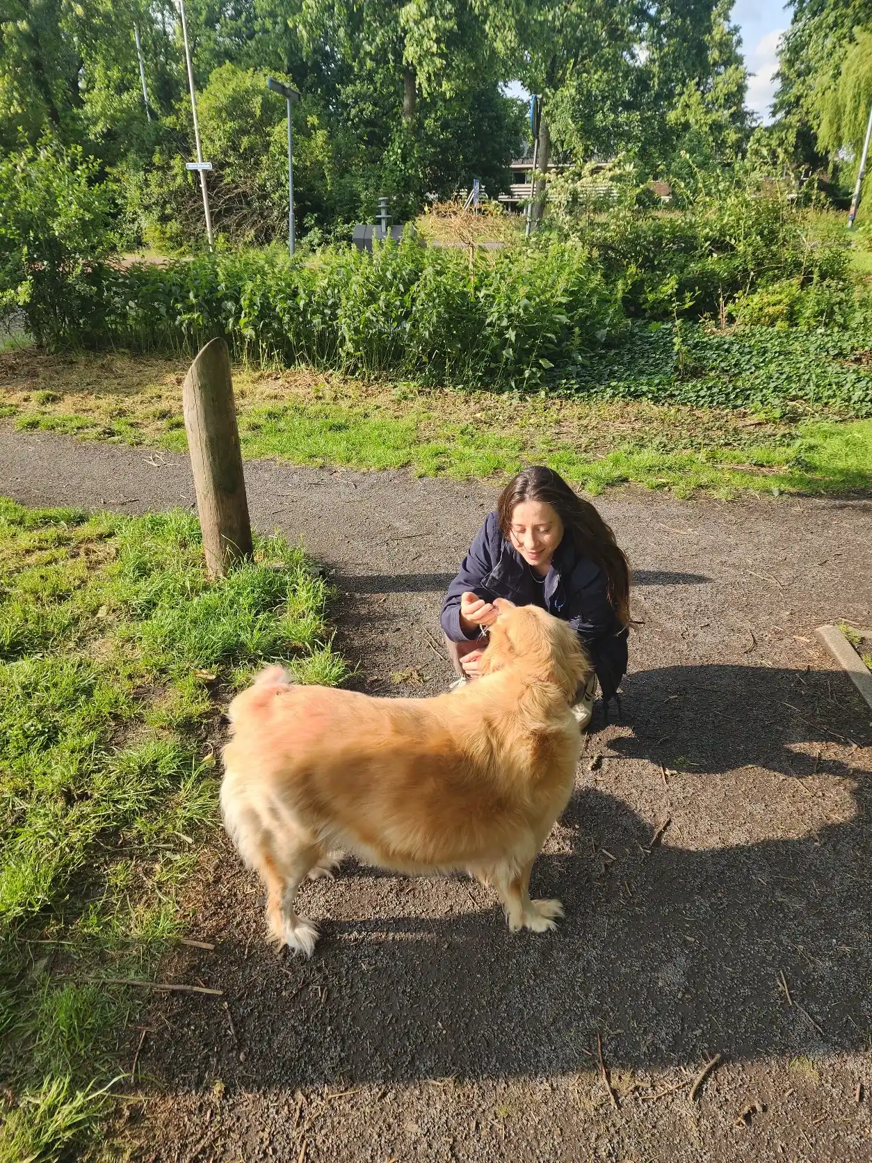 image-9