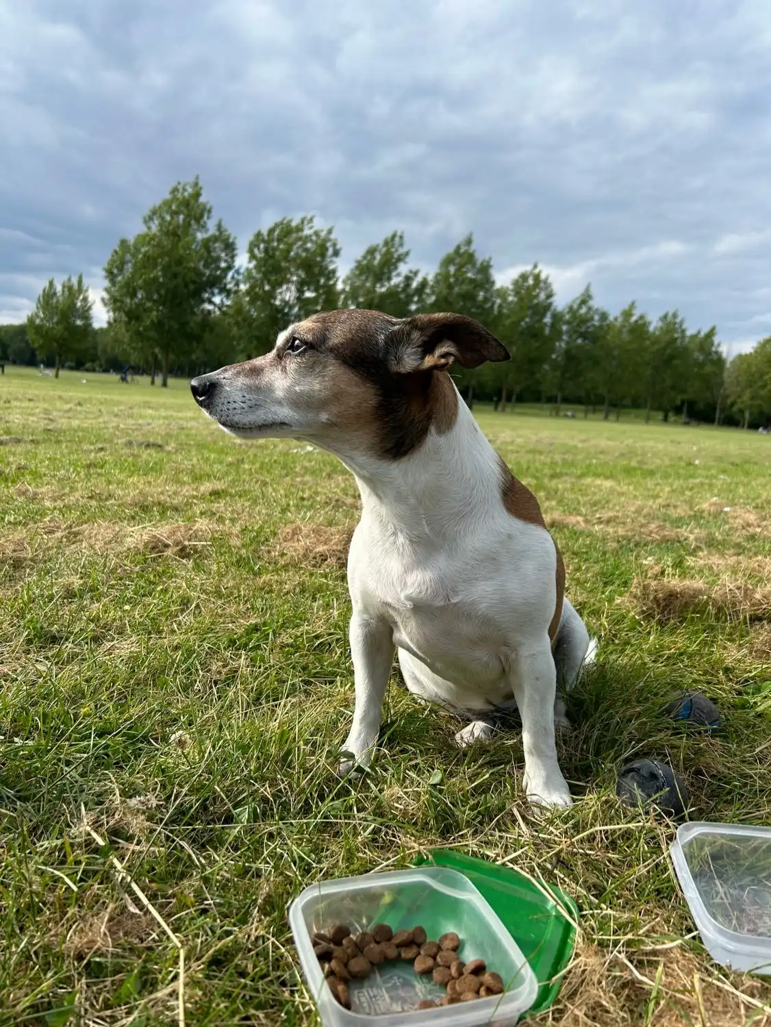 image-8