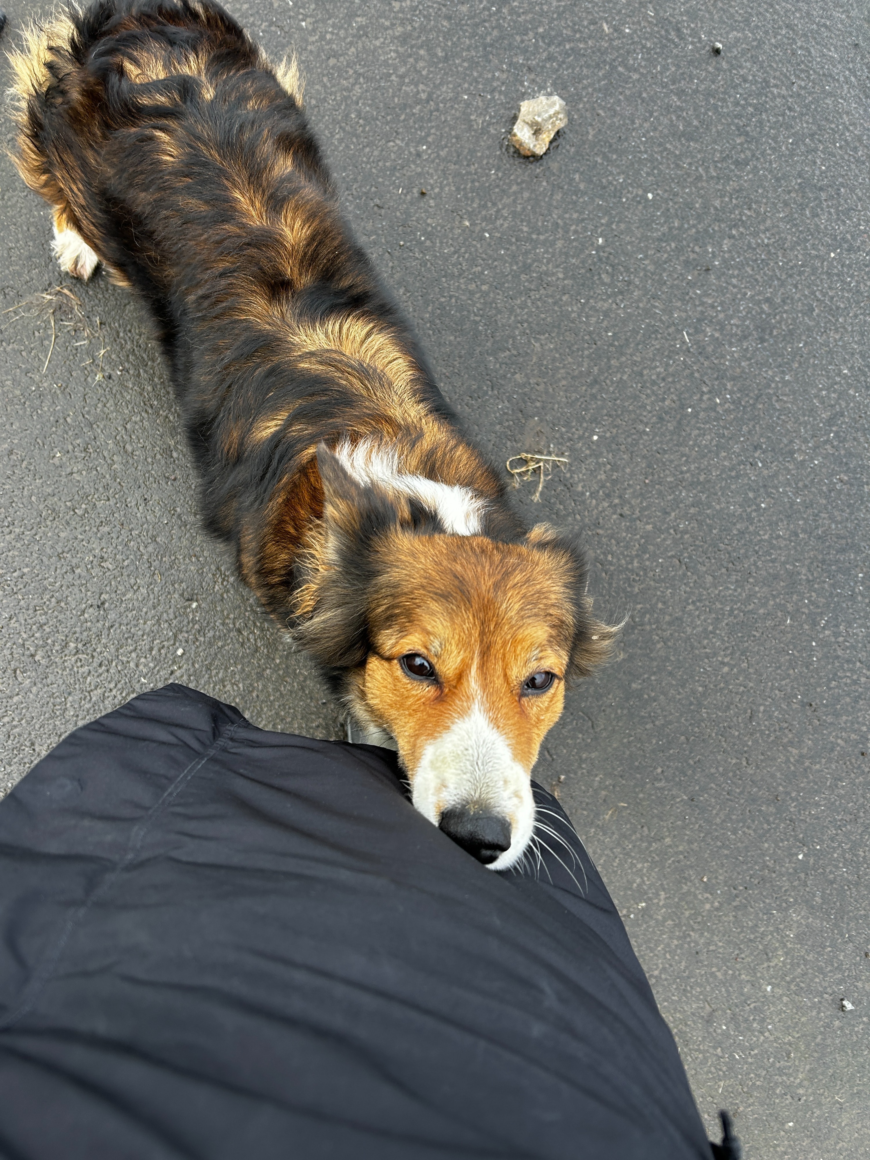 image-6