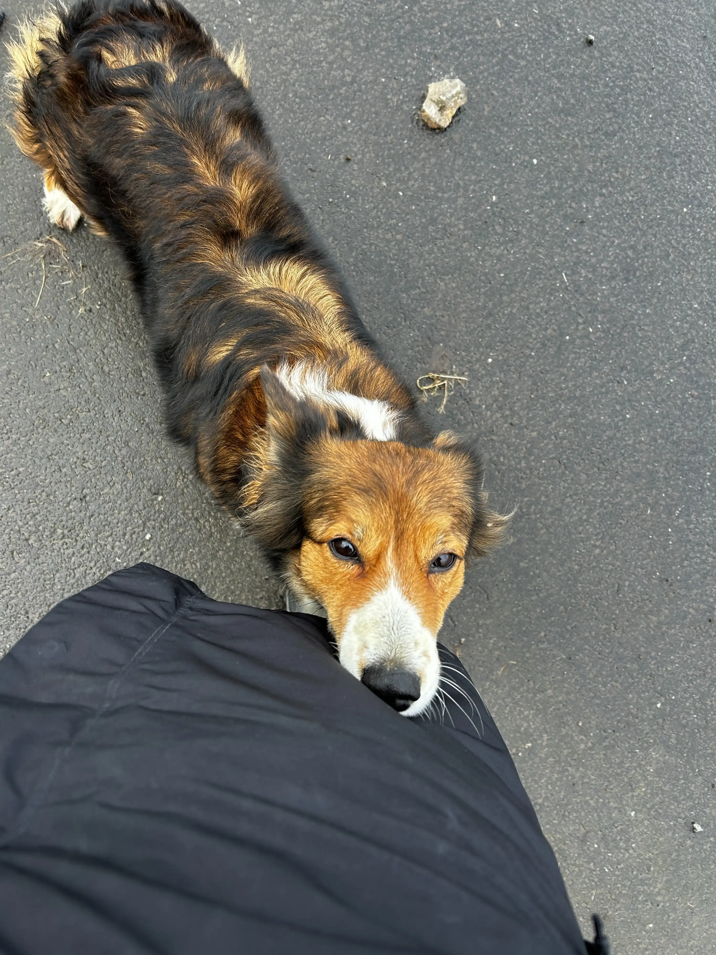 image-6