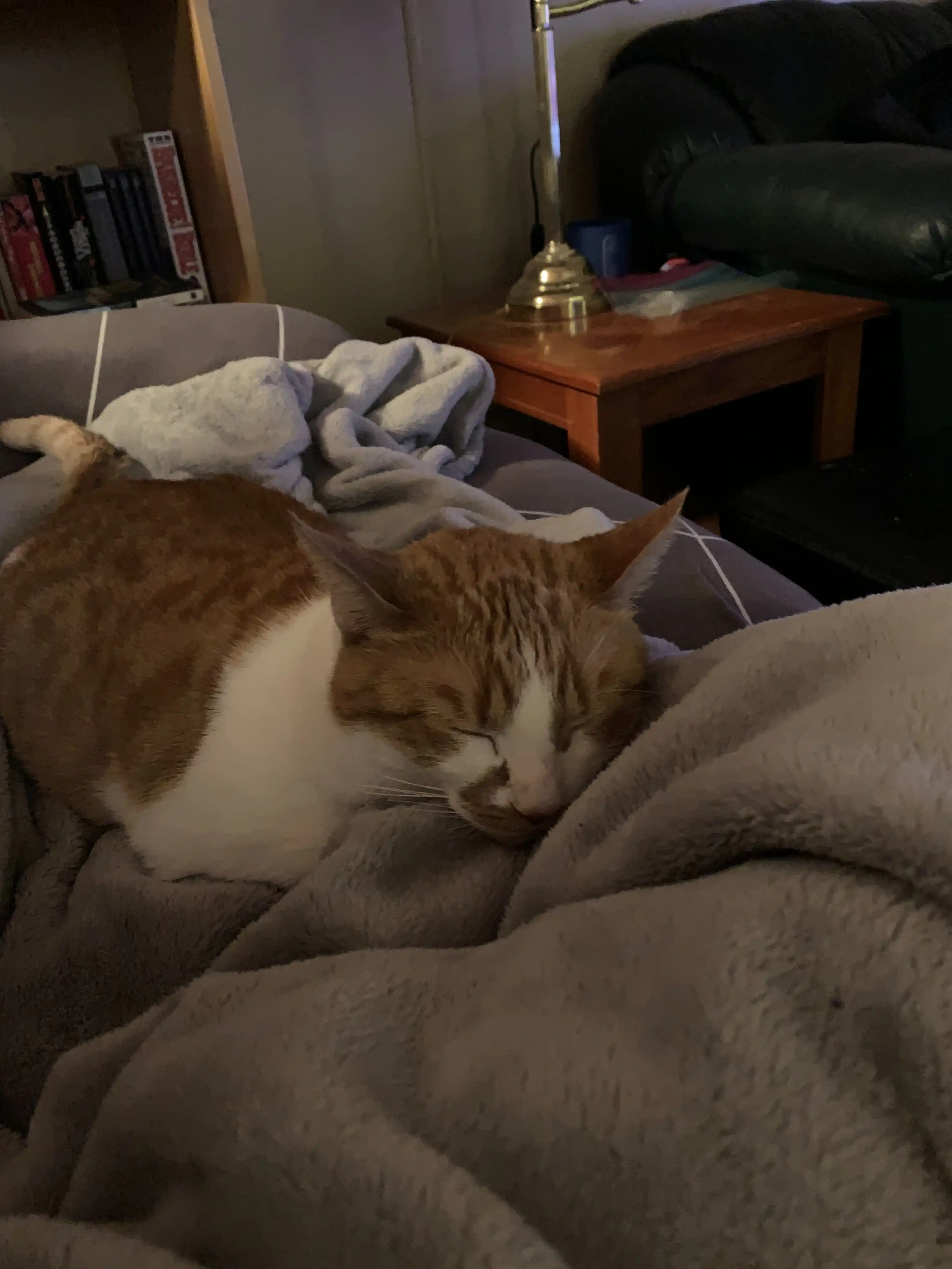 image-6