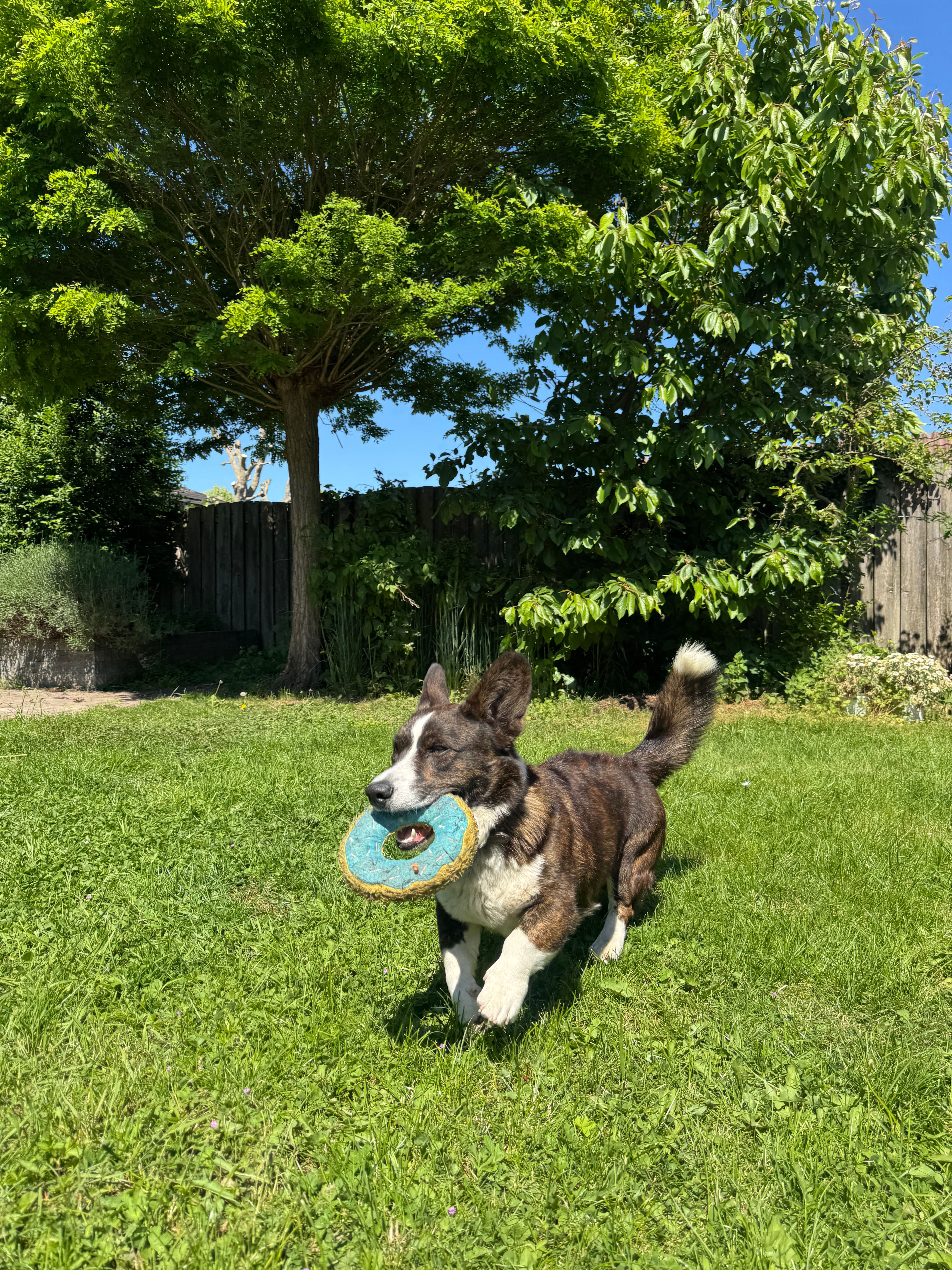 image-11