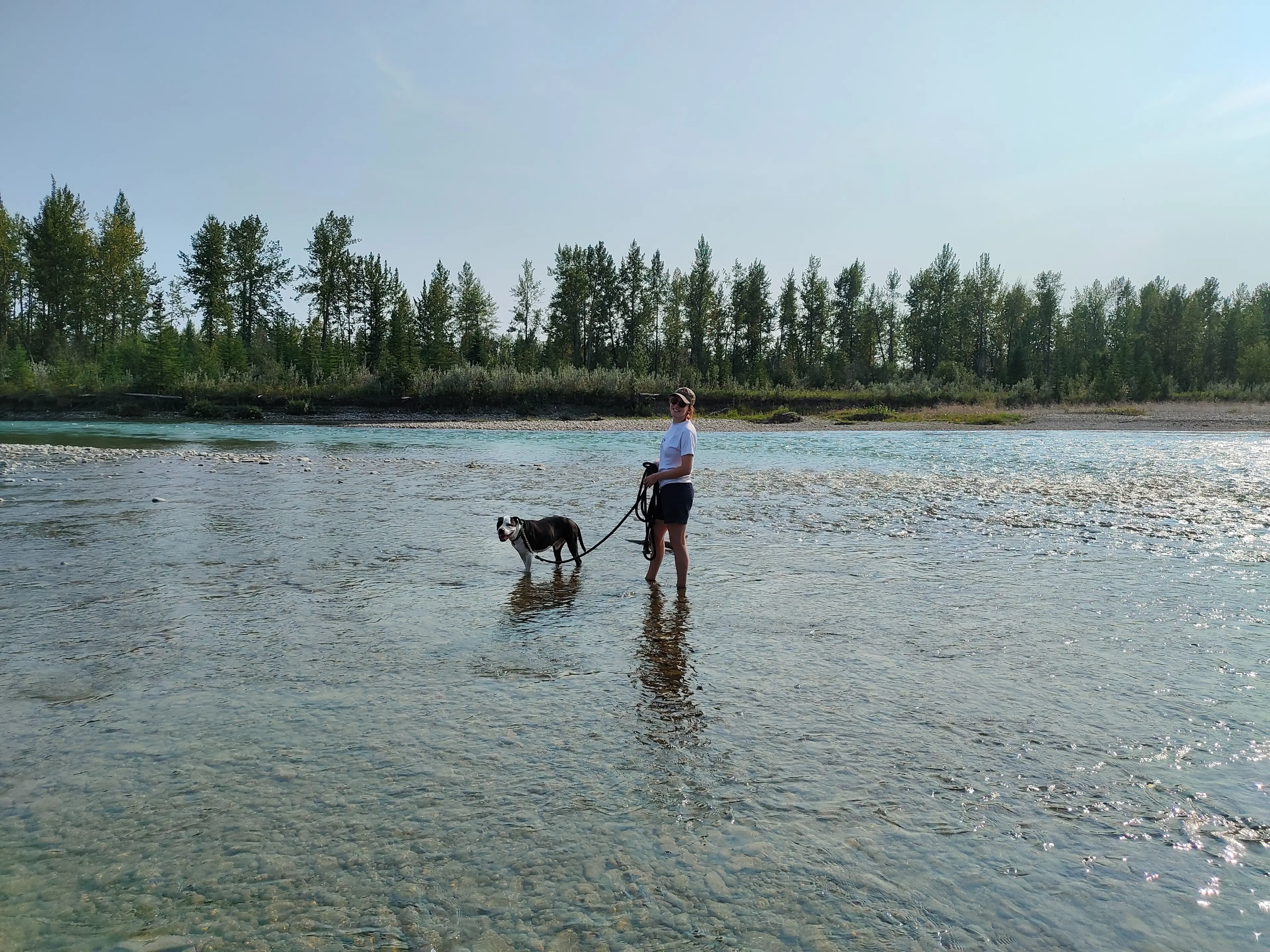 image-2