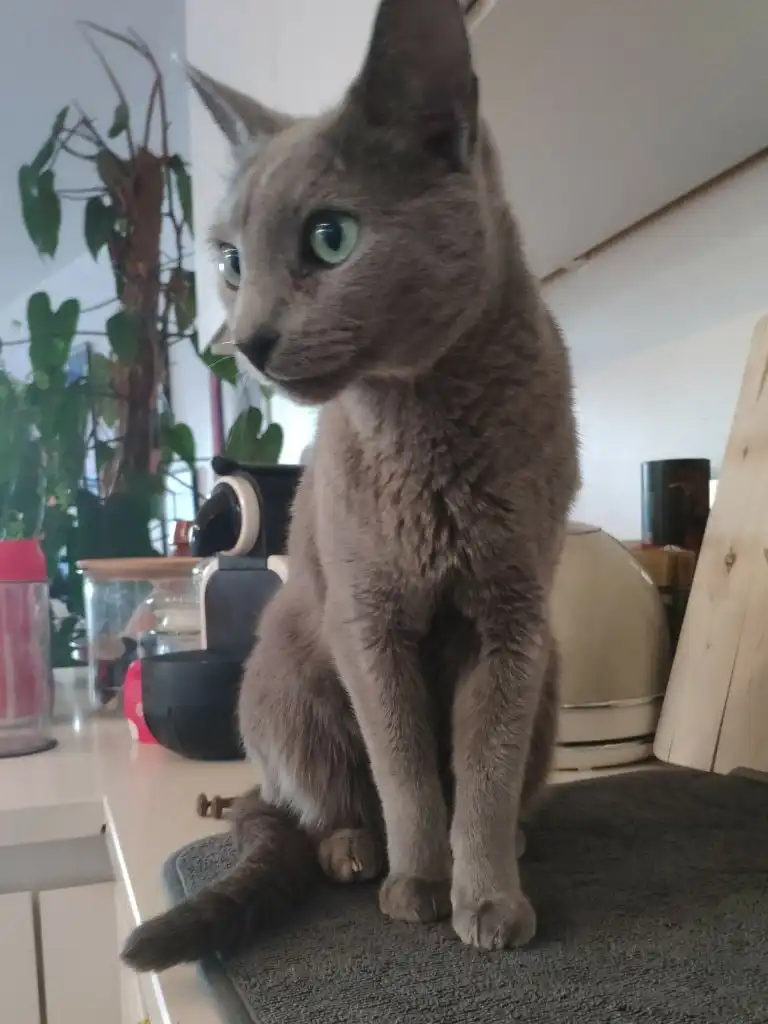 image-5