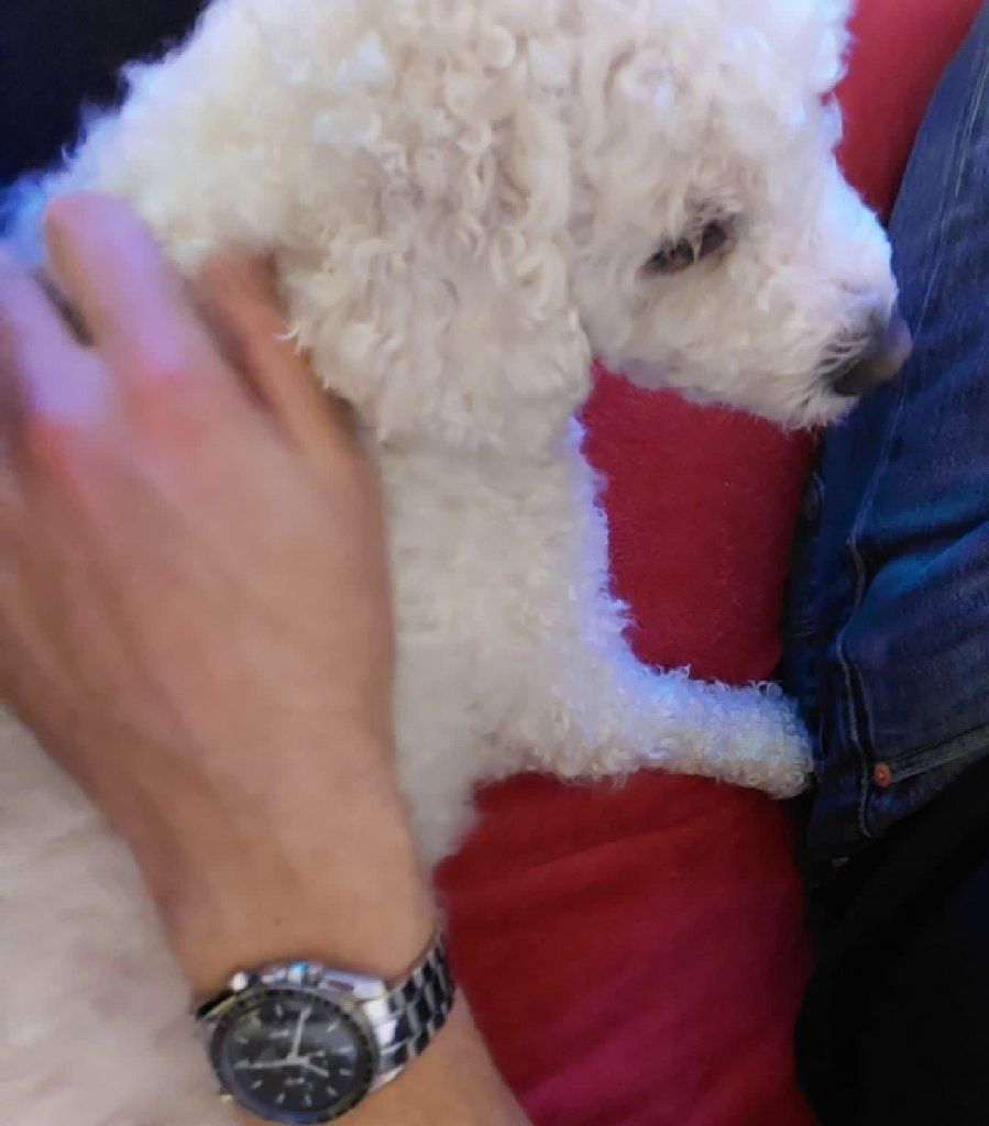 image-7