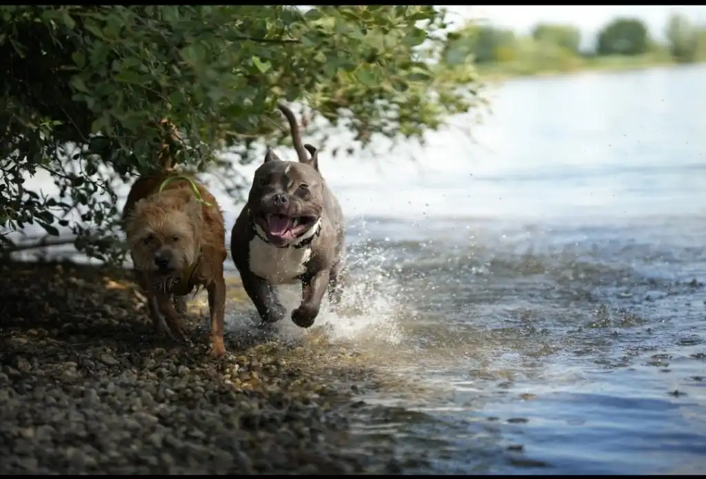image-35
