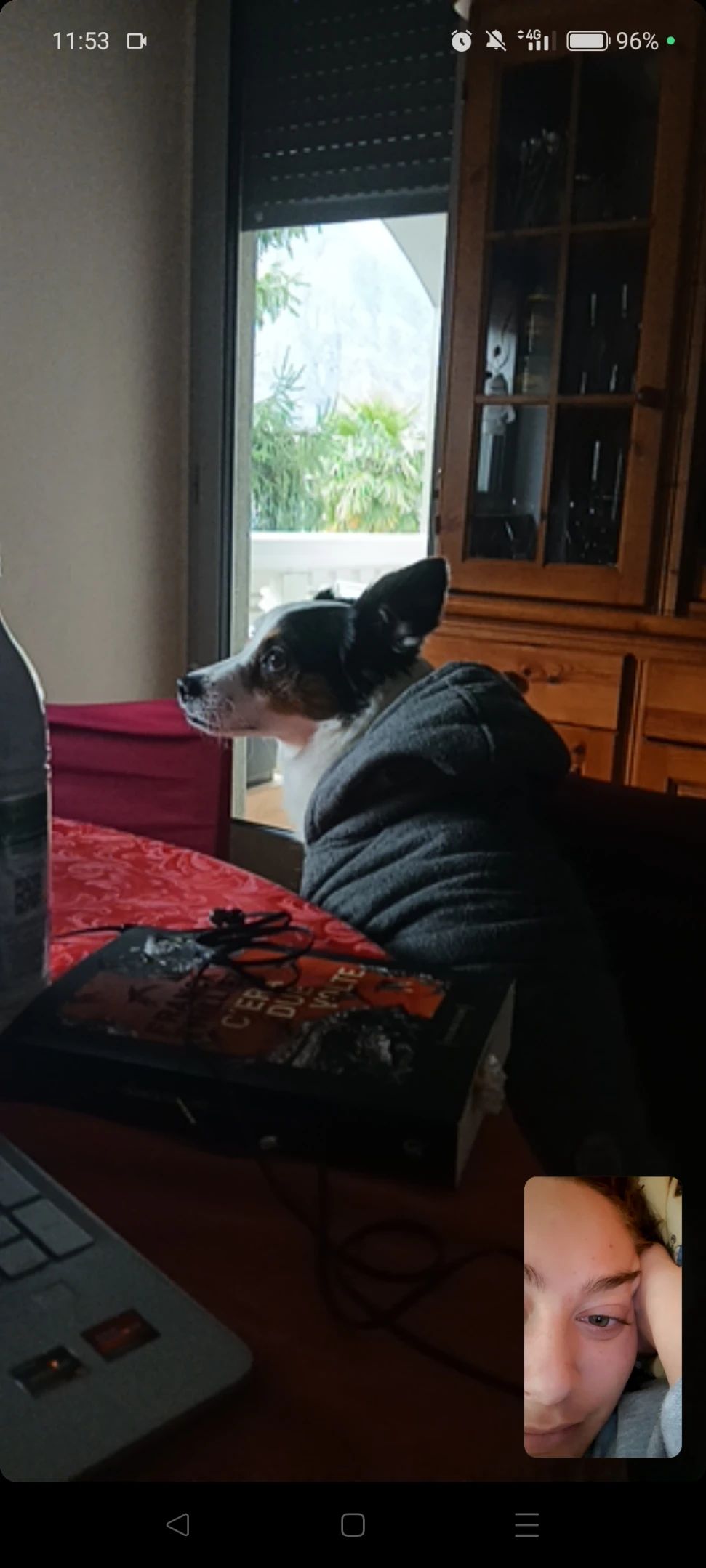 image-8