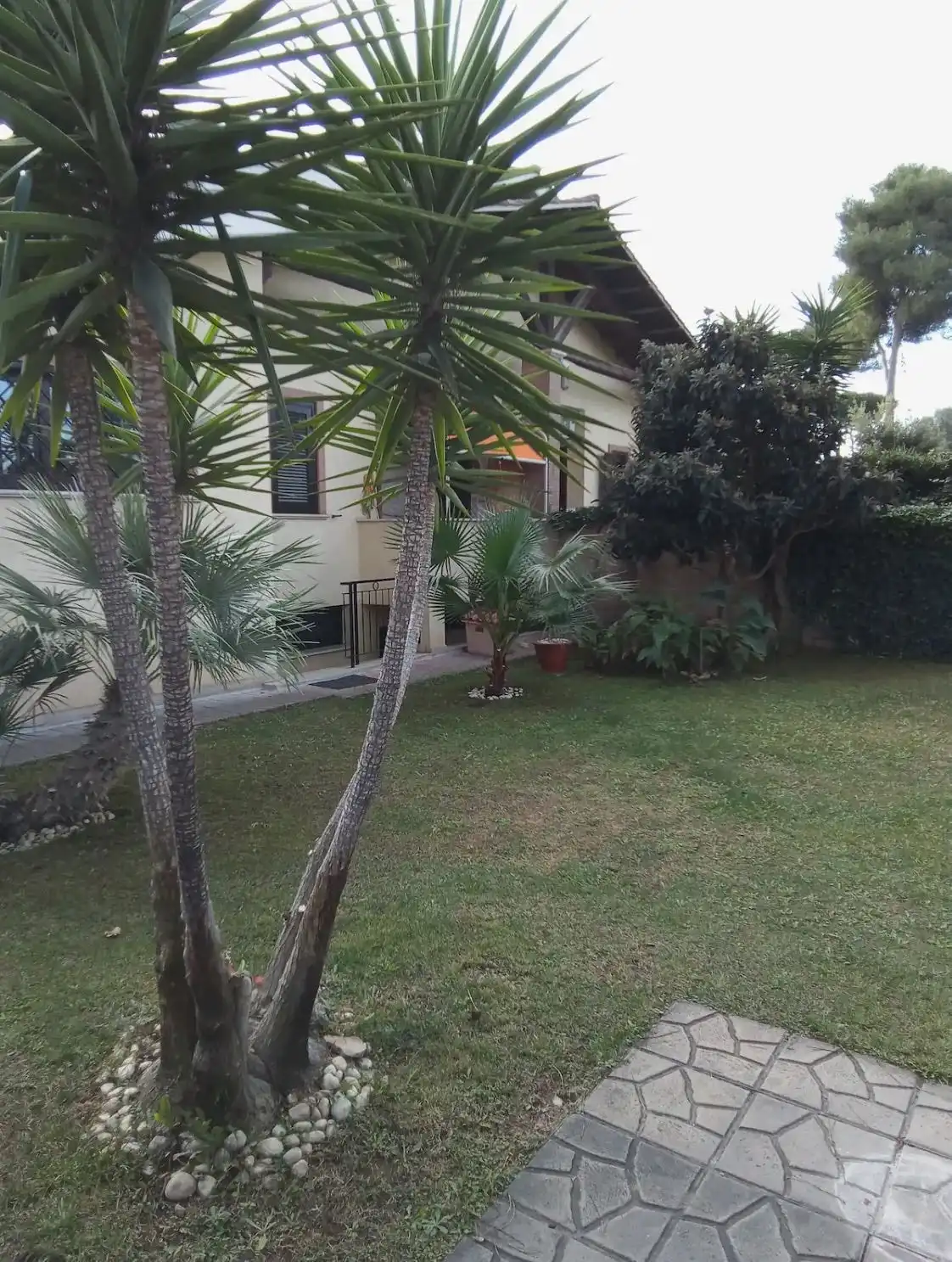 image-7