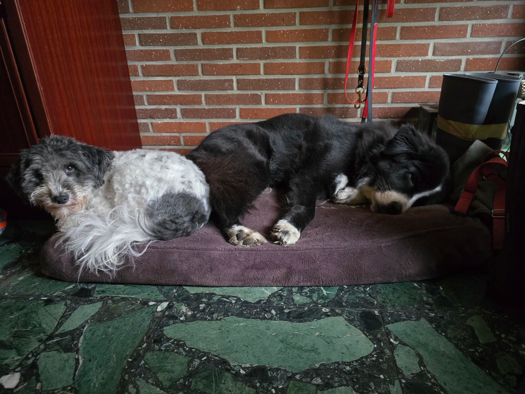 image-14
