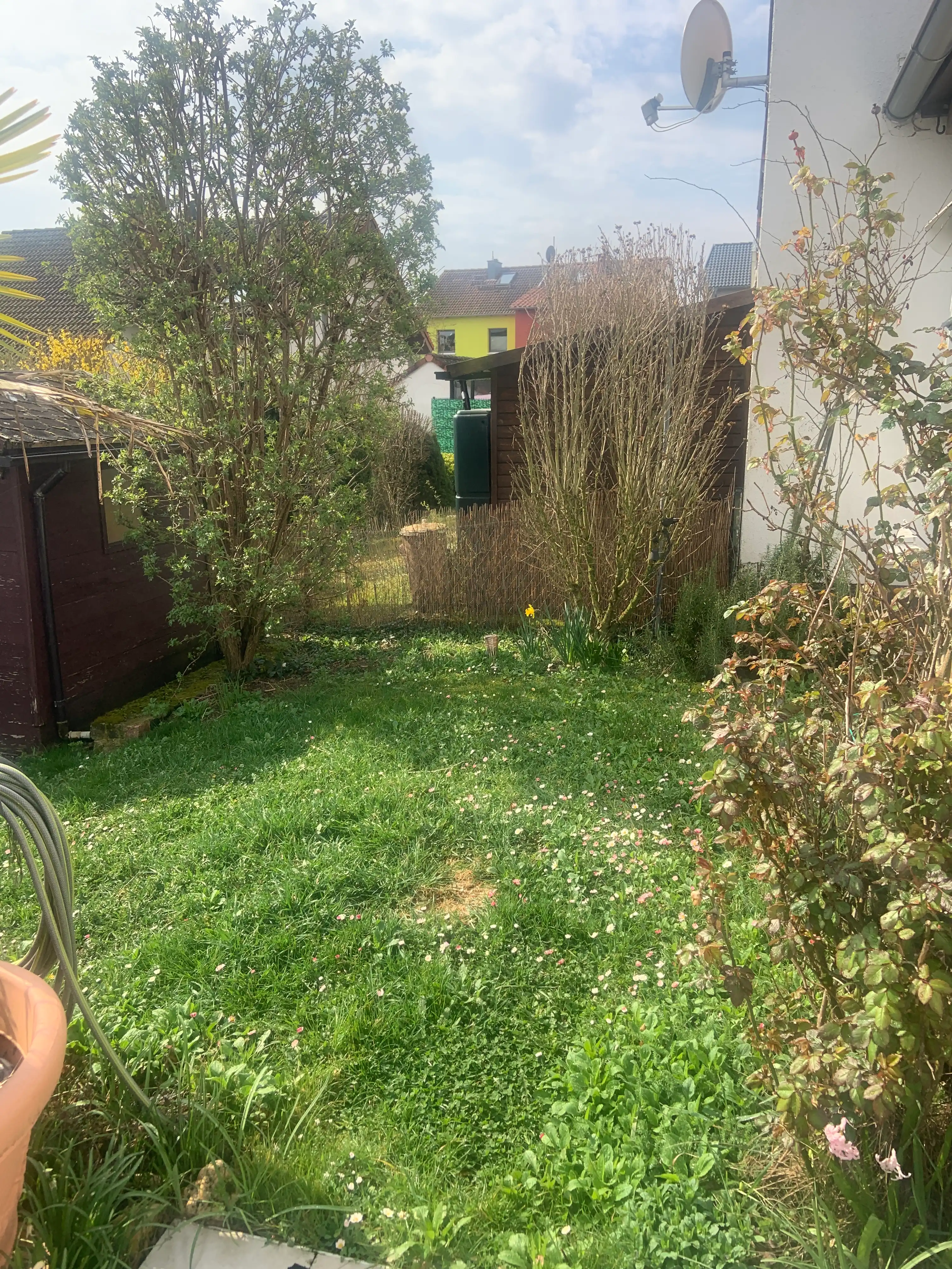 image-18