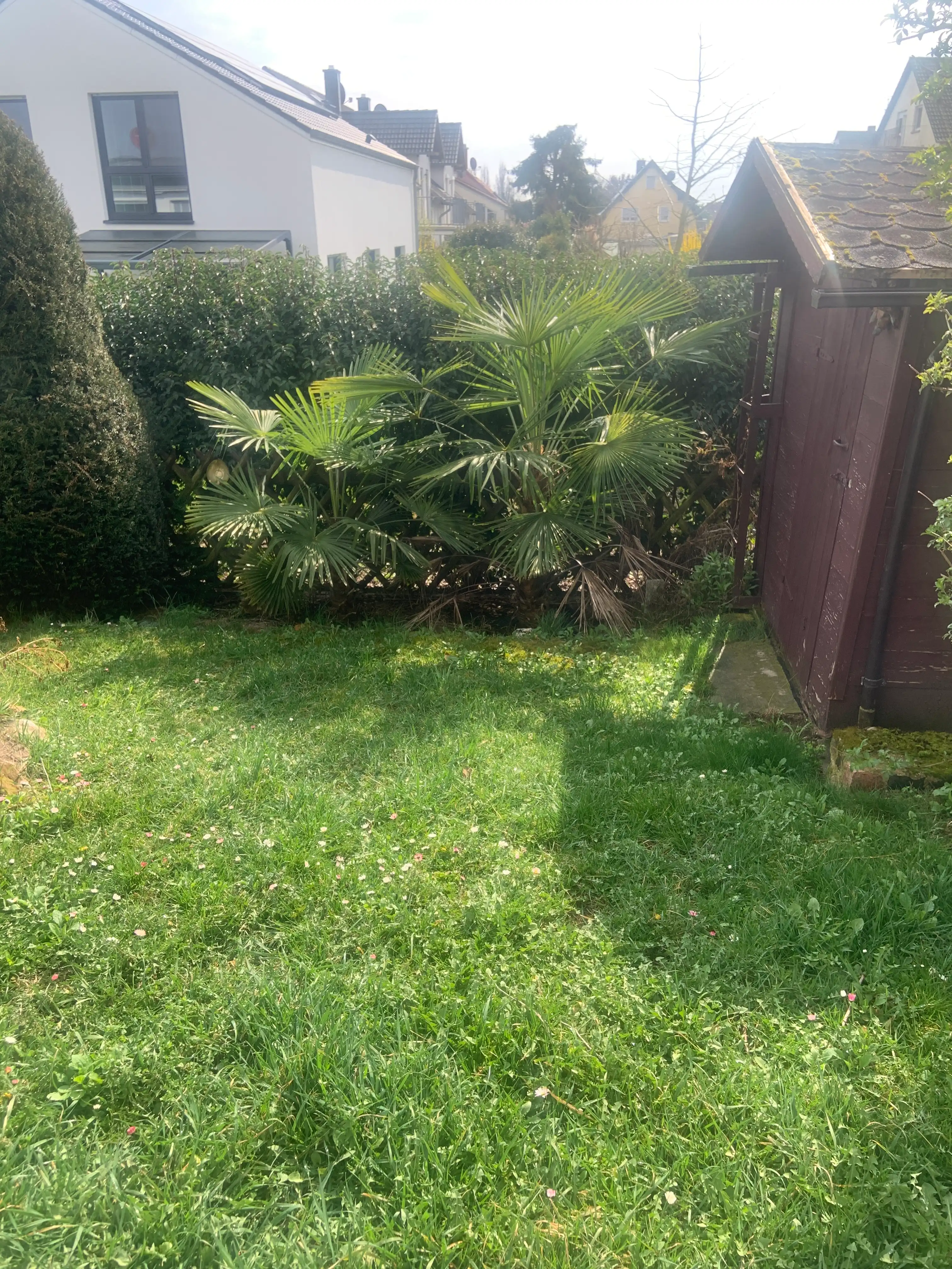 image-19