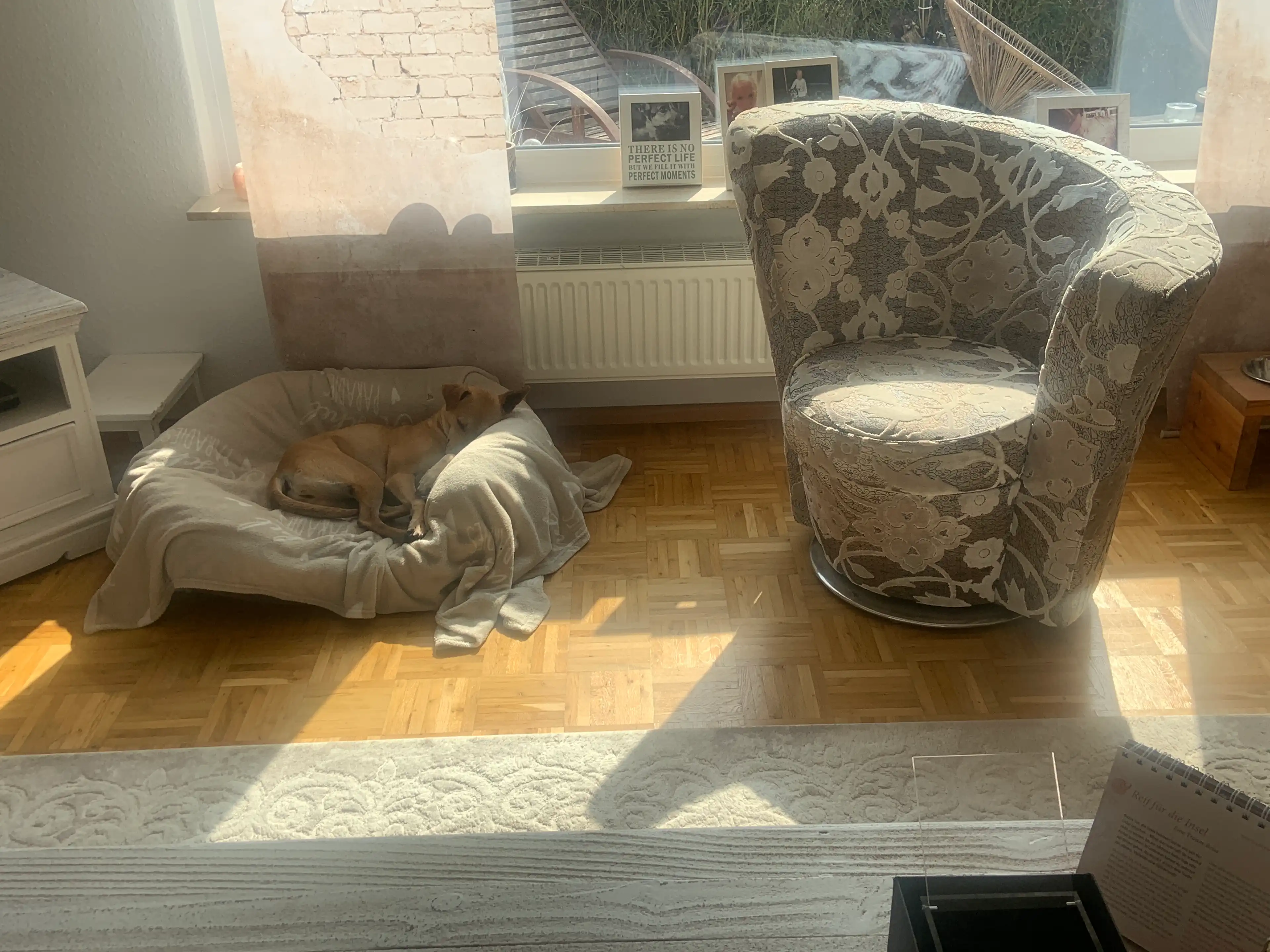 image-17