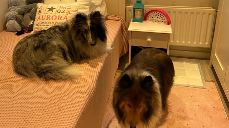 image-6