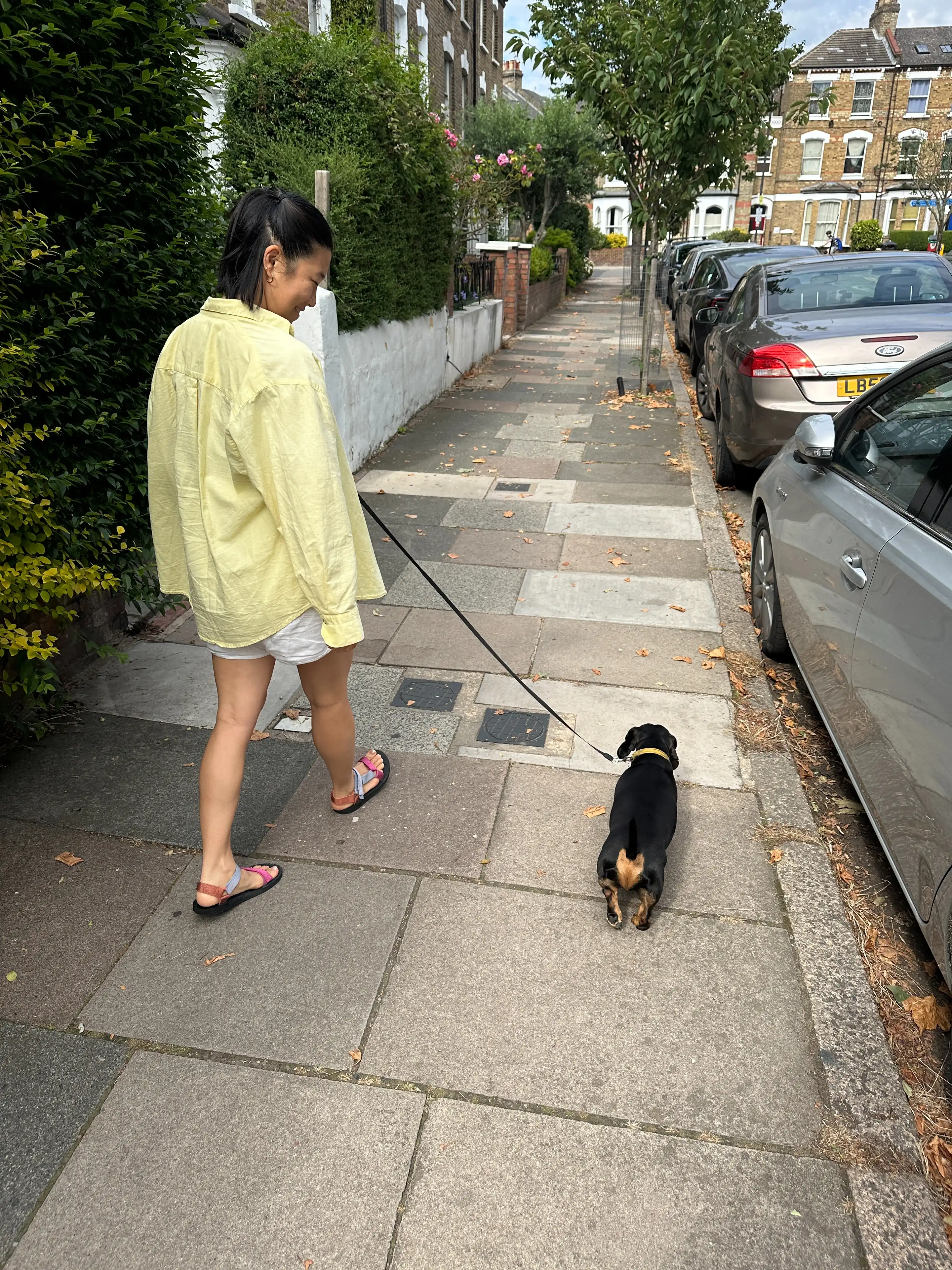 image-6