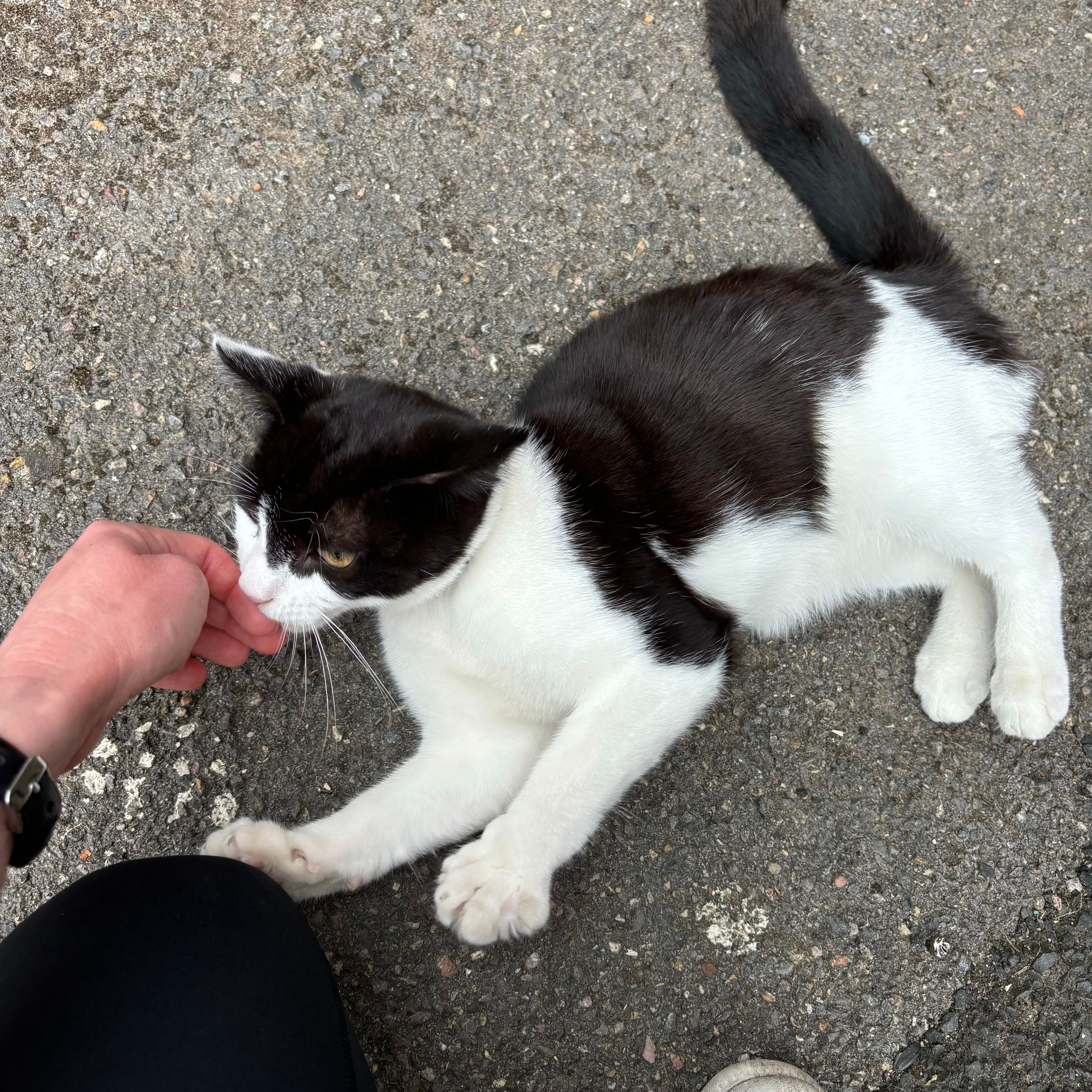 image-16