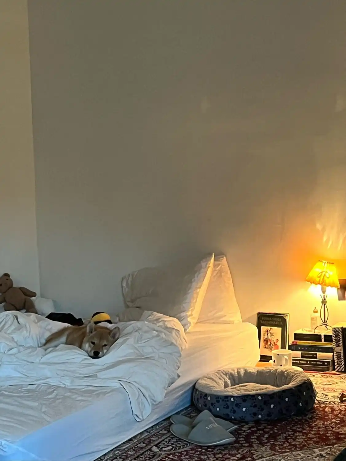image-6