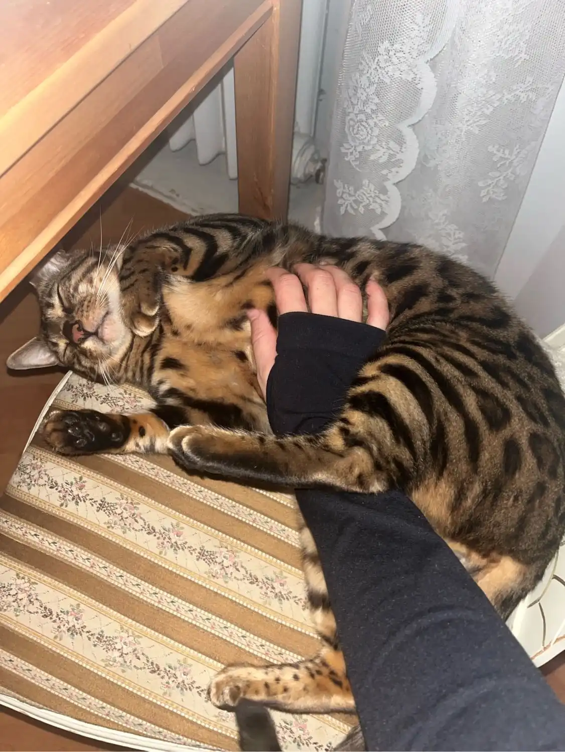 image-11