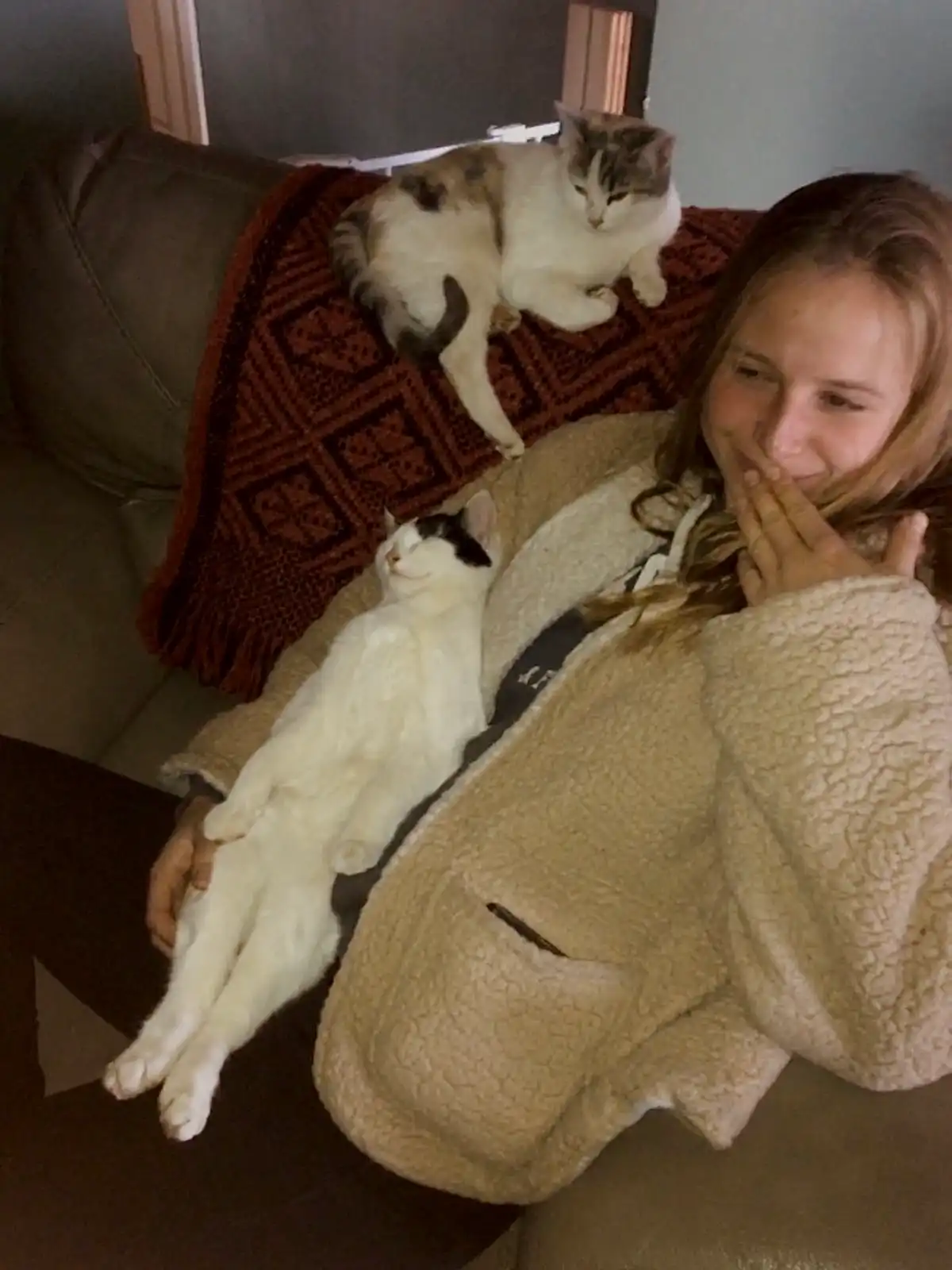 image-5