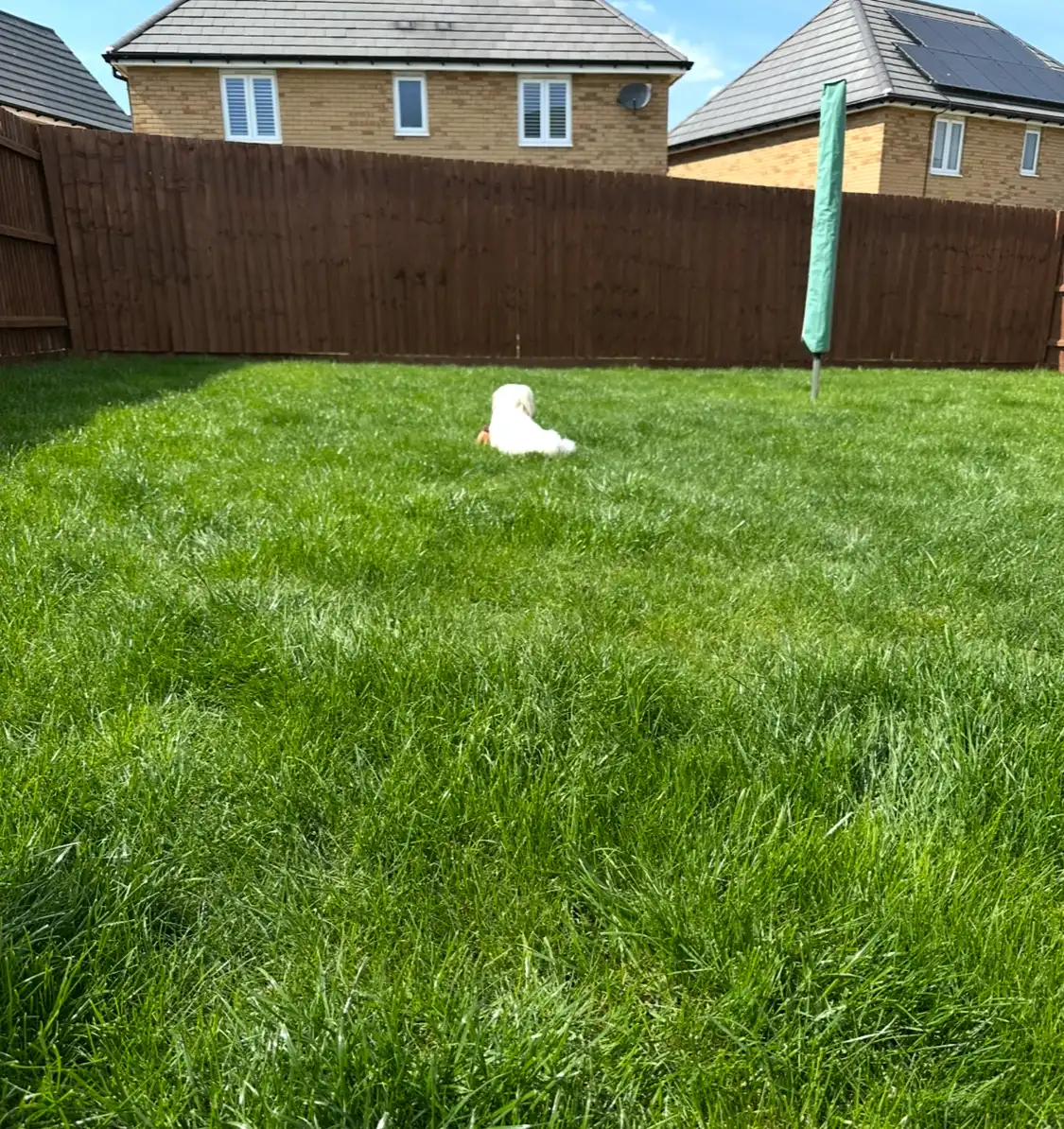 image-8