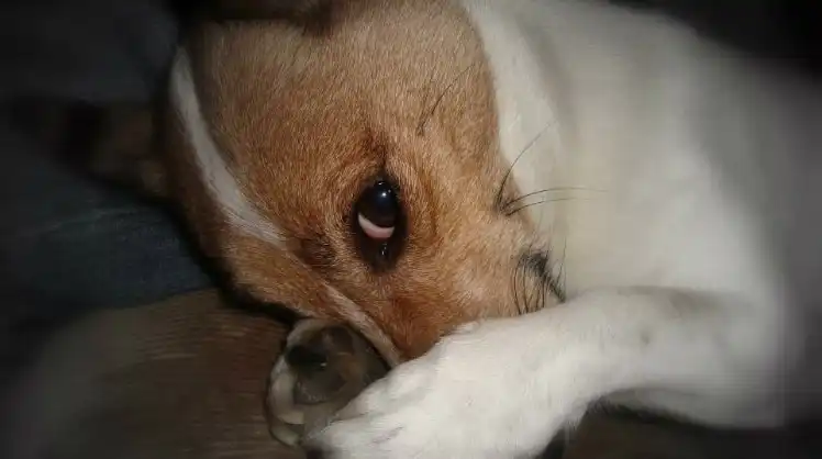 image-16