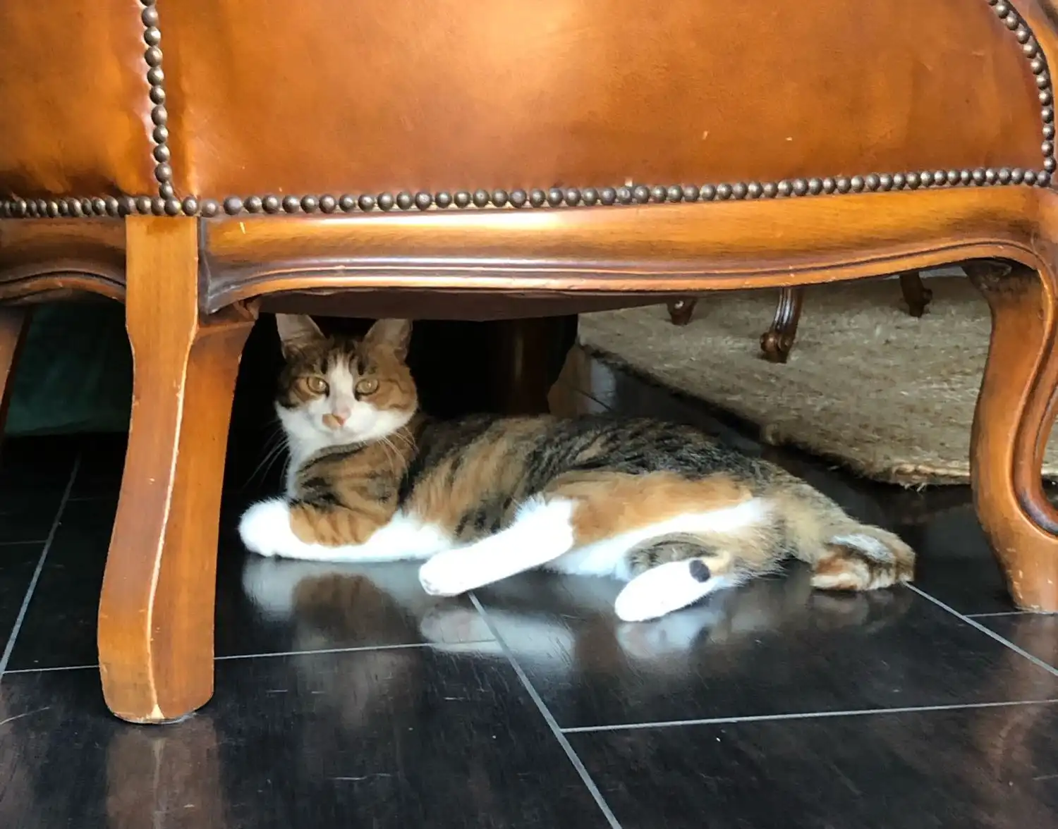 image-18