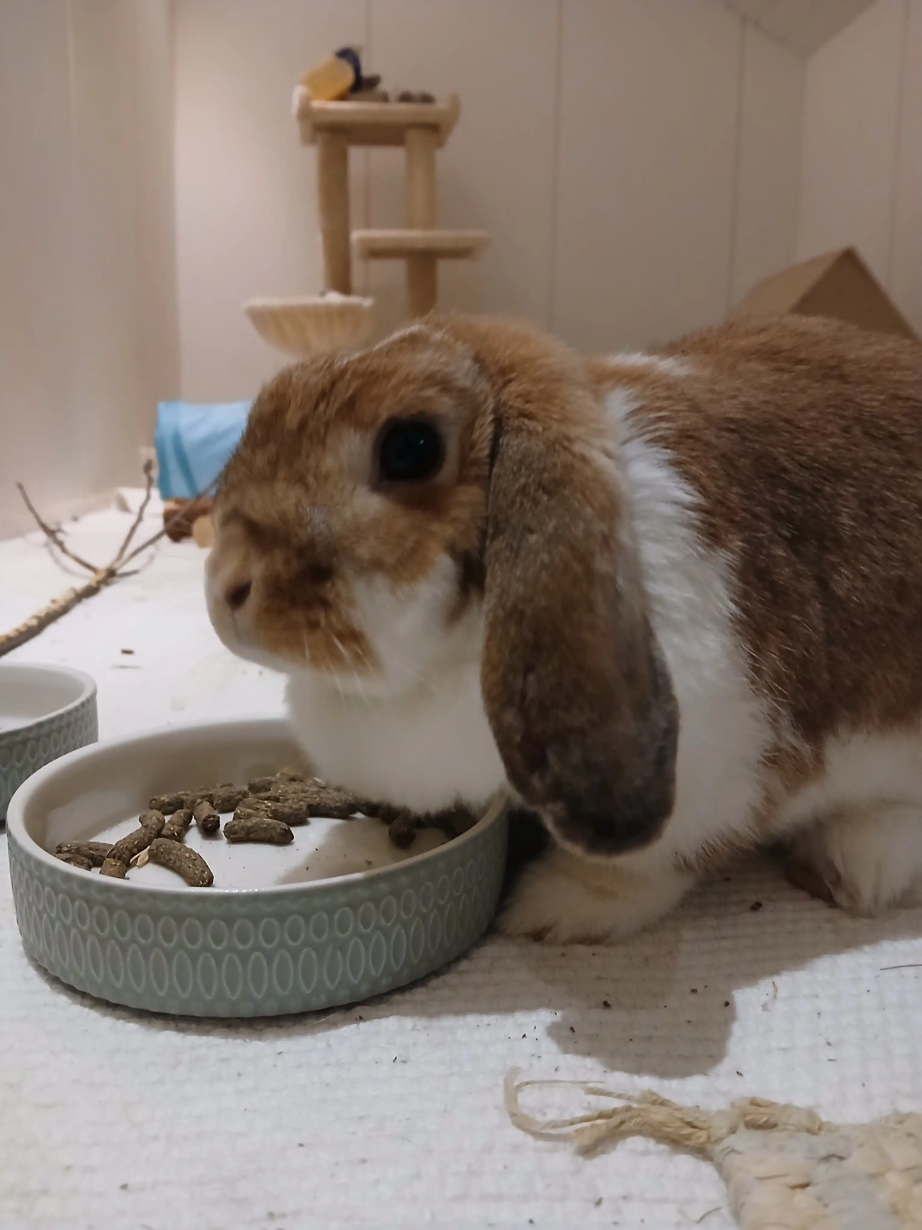 image-14